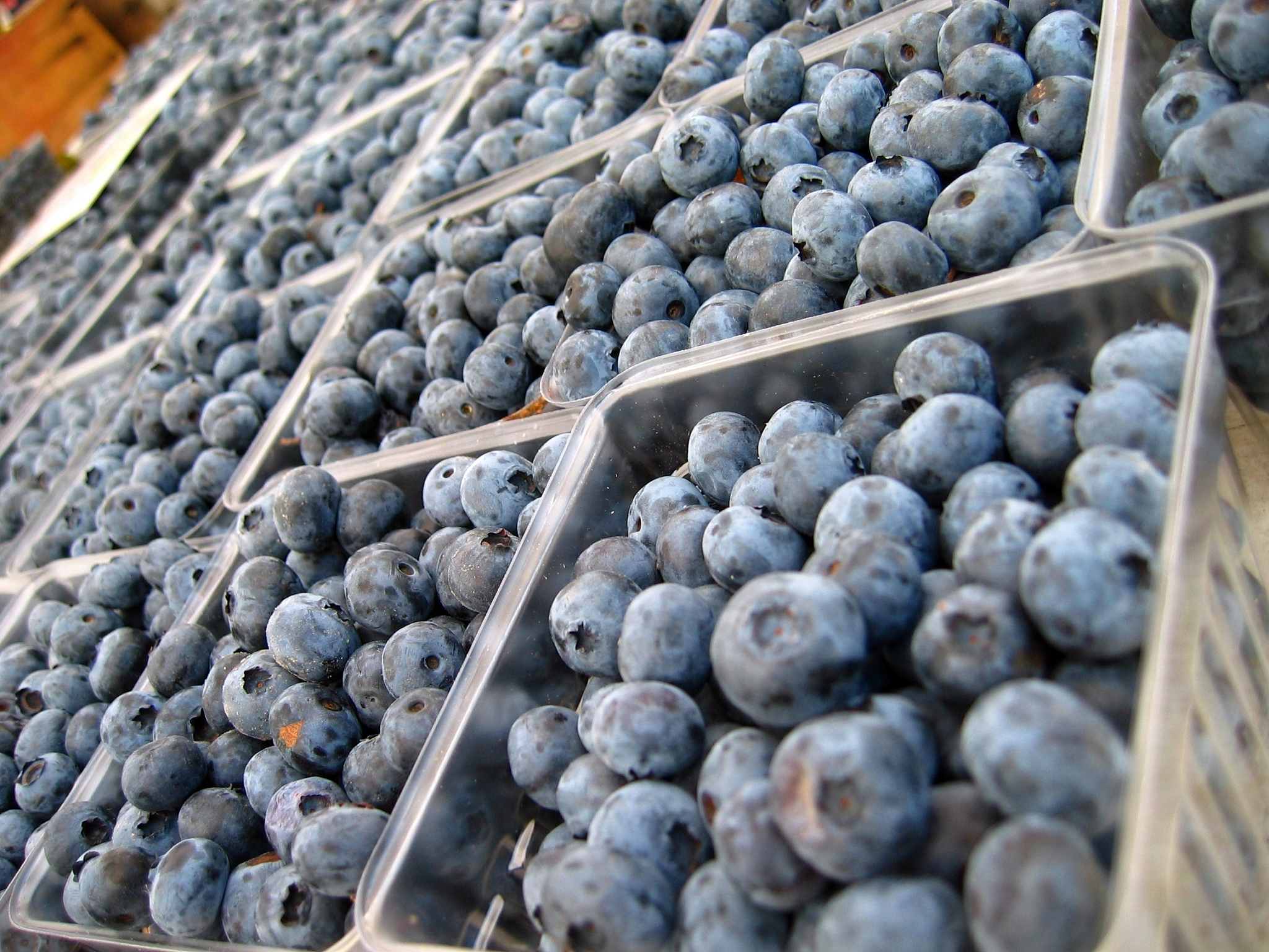 浙江哪里产乌梅详细地址电话