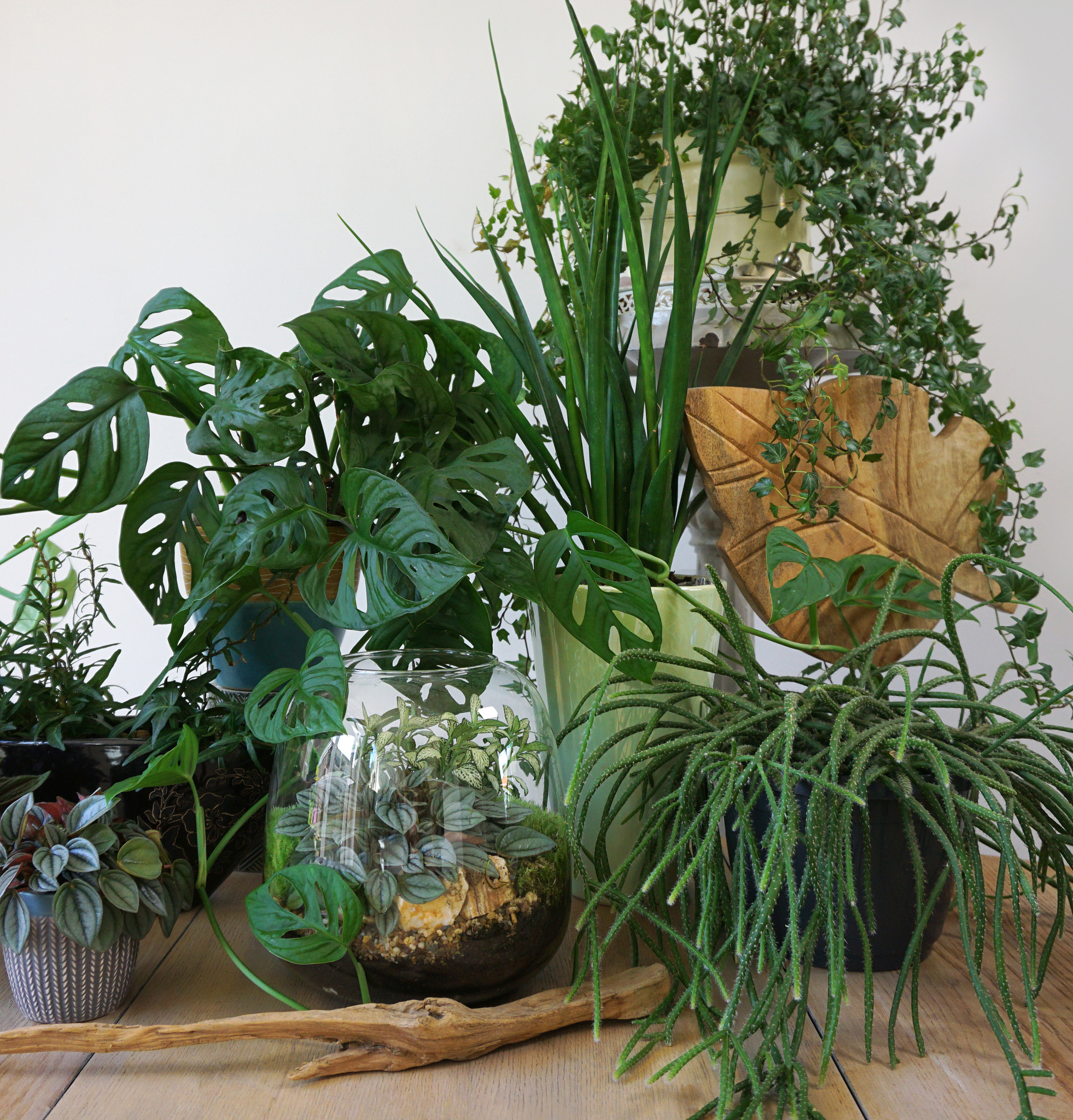Aphmeir: Bringing Nature's Beauty to Your Home with Realistic Artificial Plants
