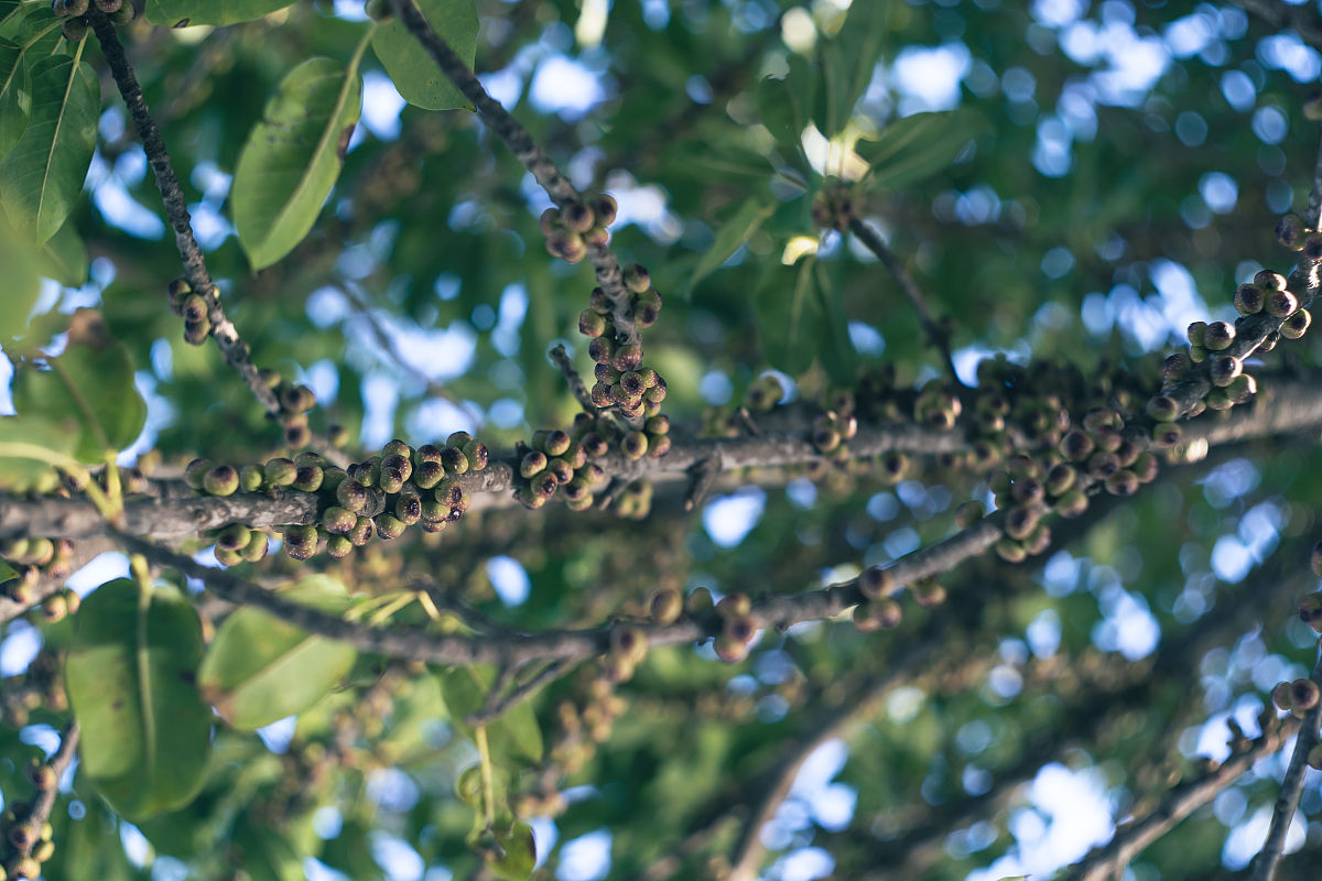泉州清濛区旅游避开色情区域指南 - 安全出行建议