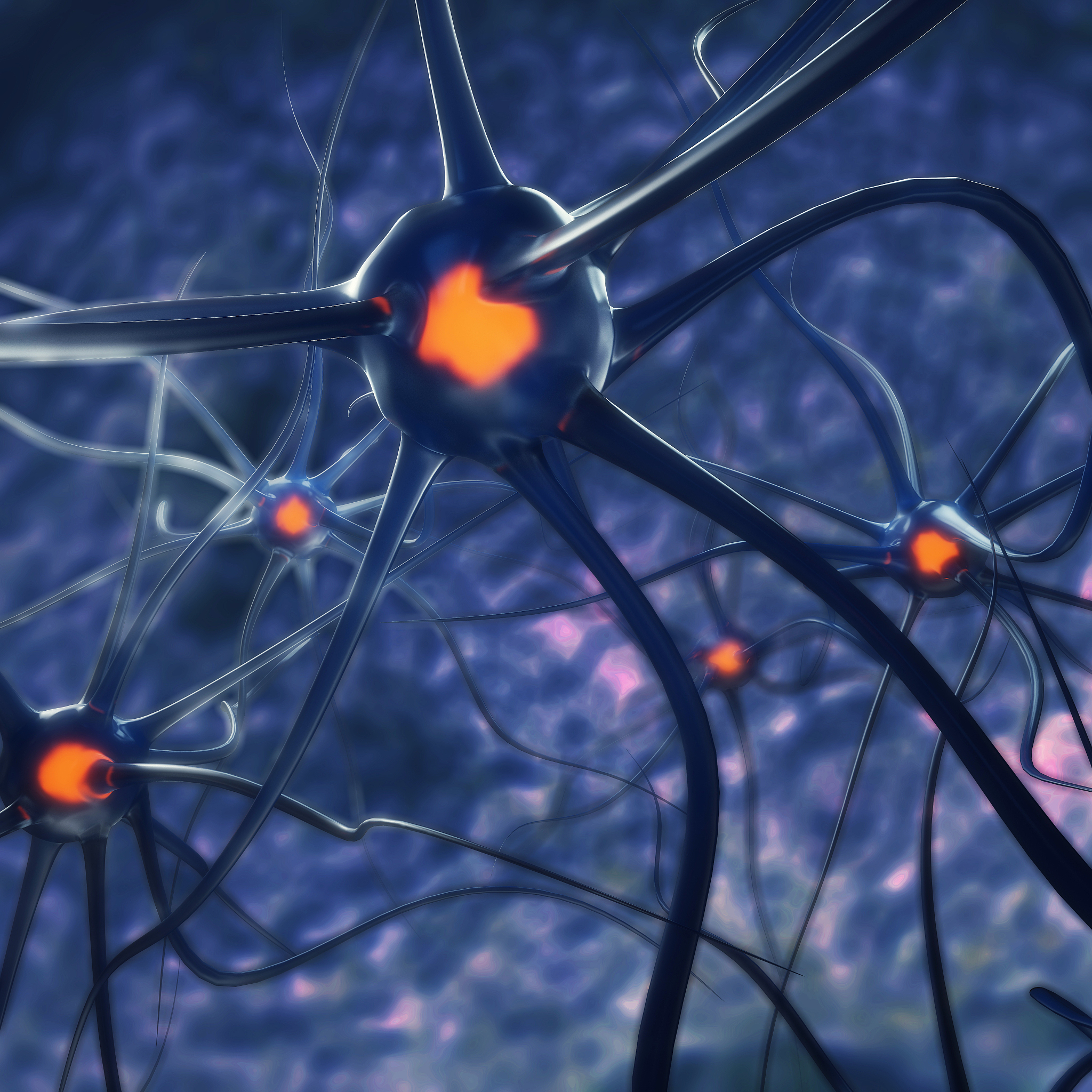 张量在生物学中的应用：从神经元到肌肉和流体