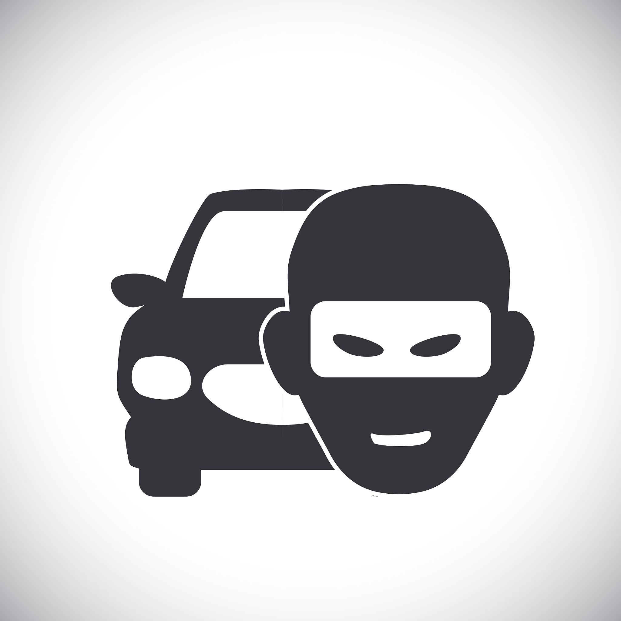 飘色相关的项目书，编写几点大纲