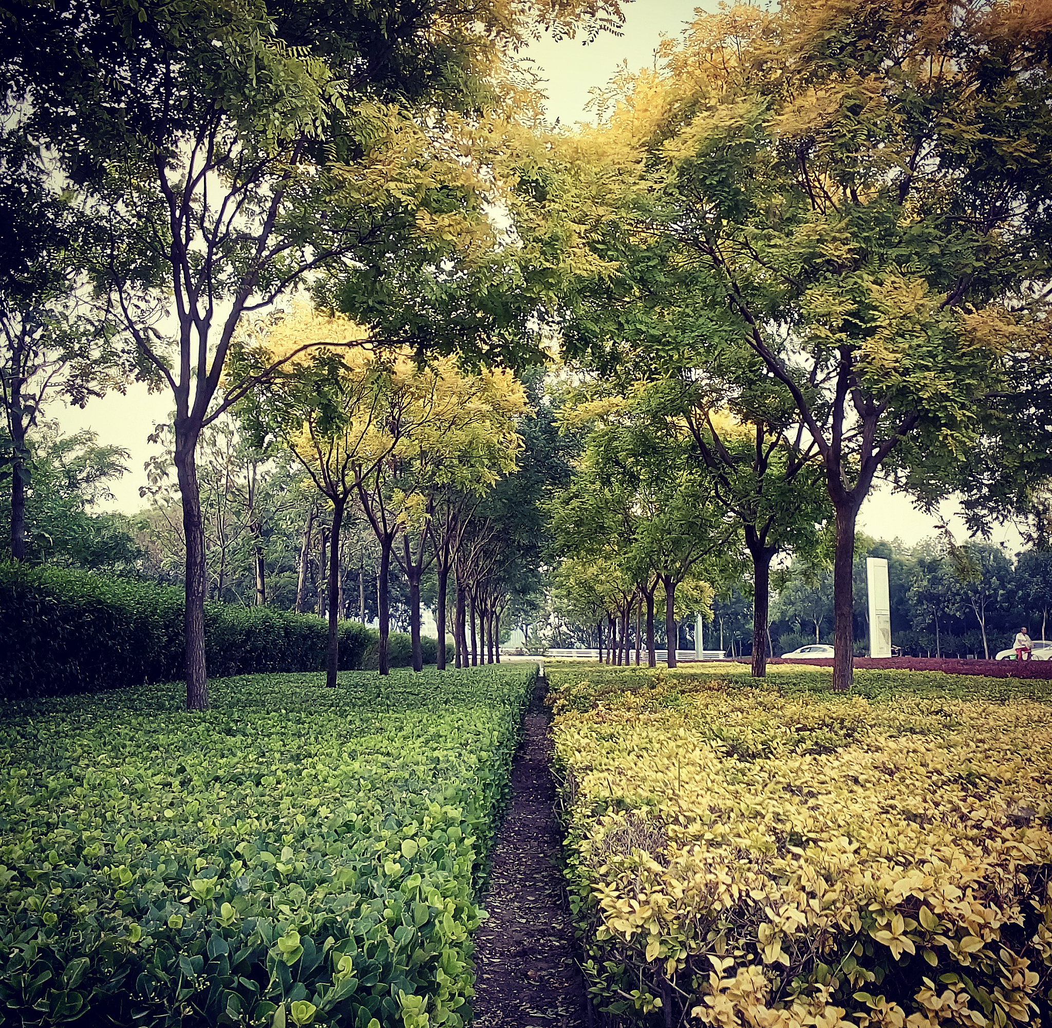 植物保护专业培养哪些人才？就业方向有哪些？