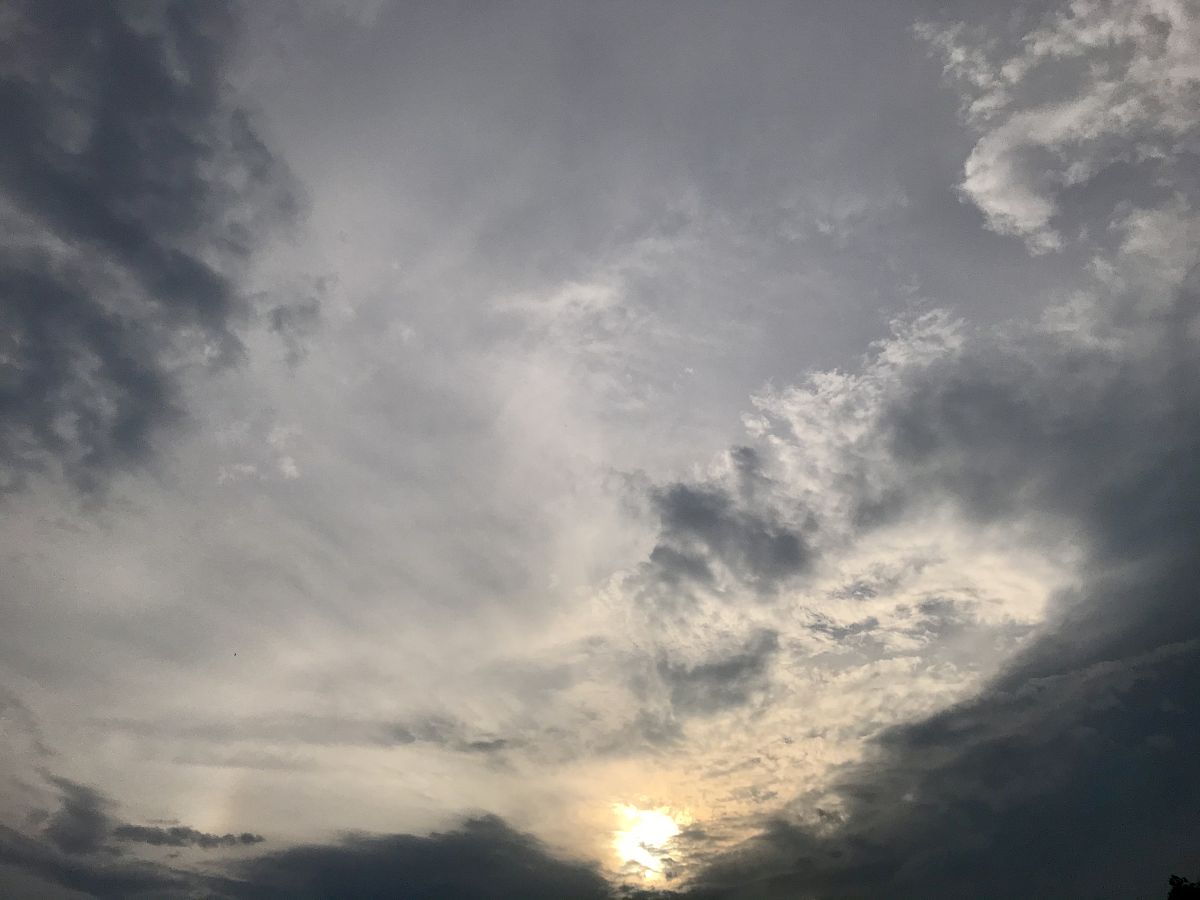 下雨前的征兆：300字详解天空、气味、物理变化