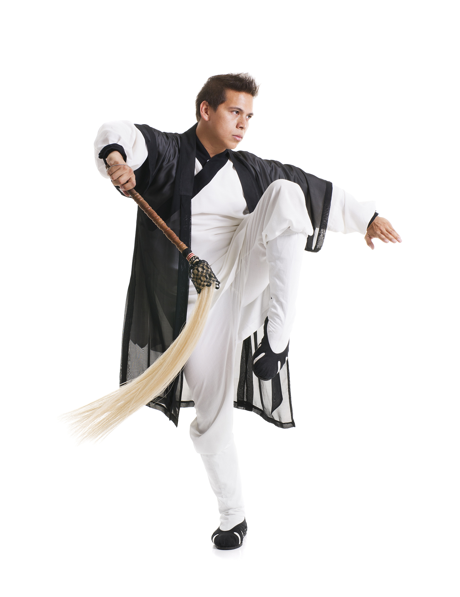 kung fu master