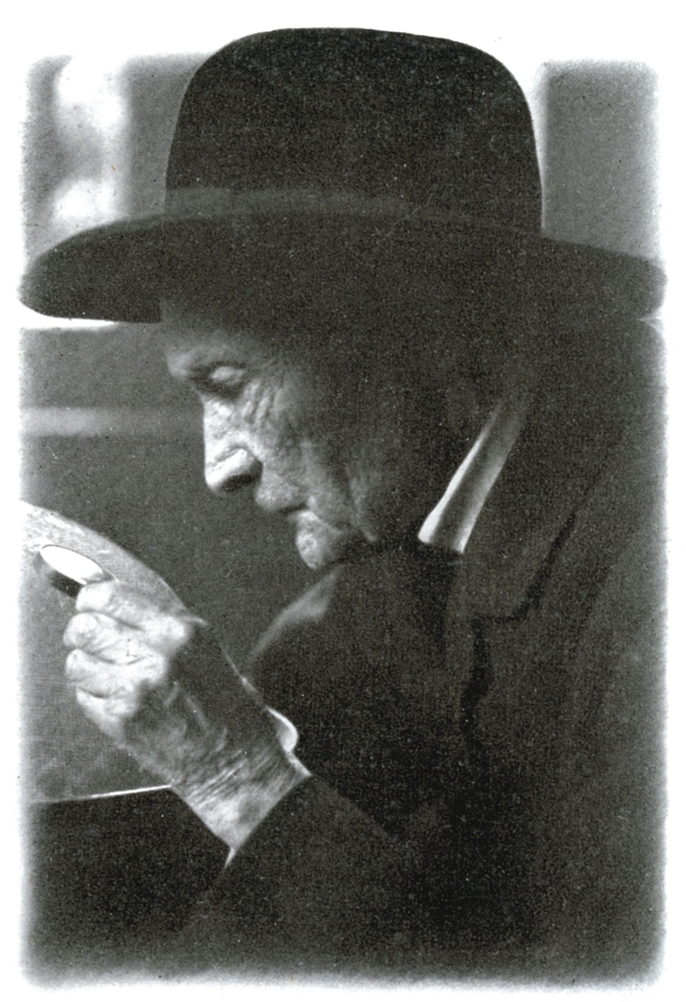 法布尔实验蜜蜂的过程