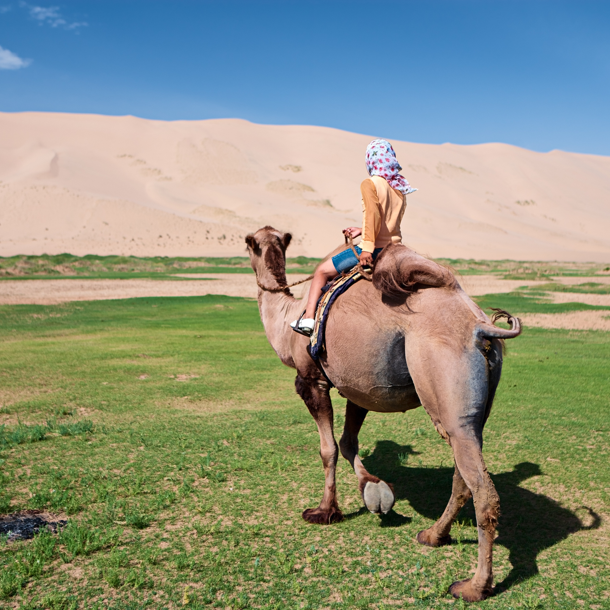内蒙古高考三百多分可以去的大学