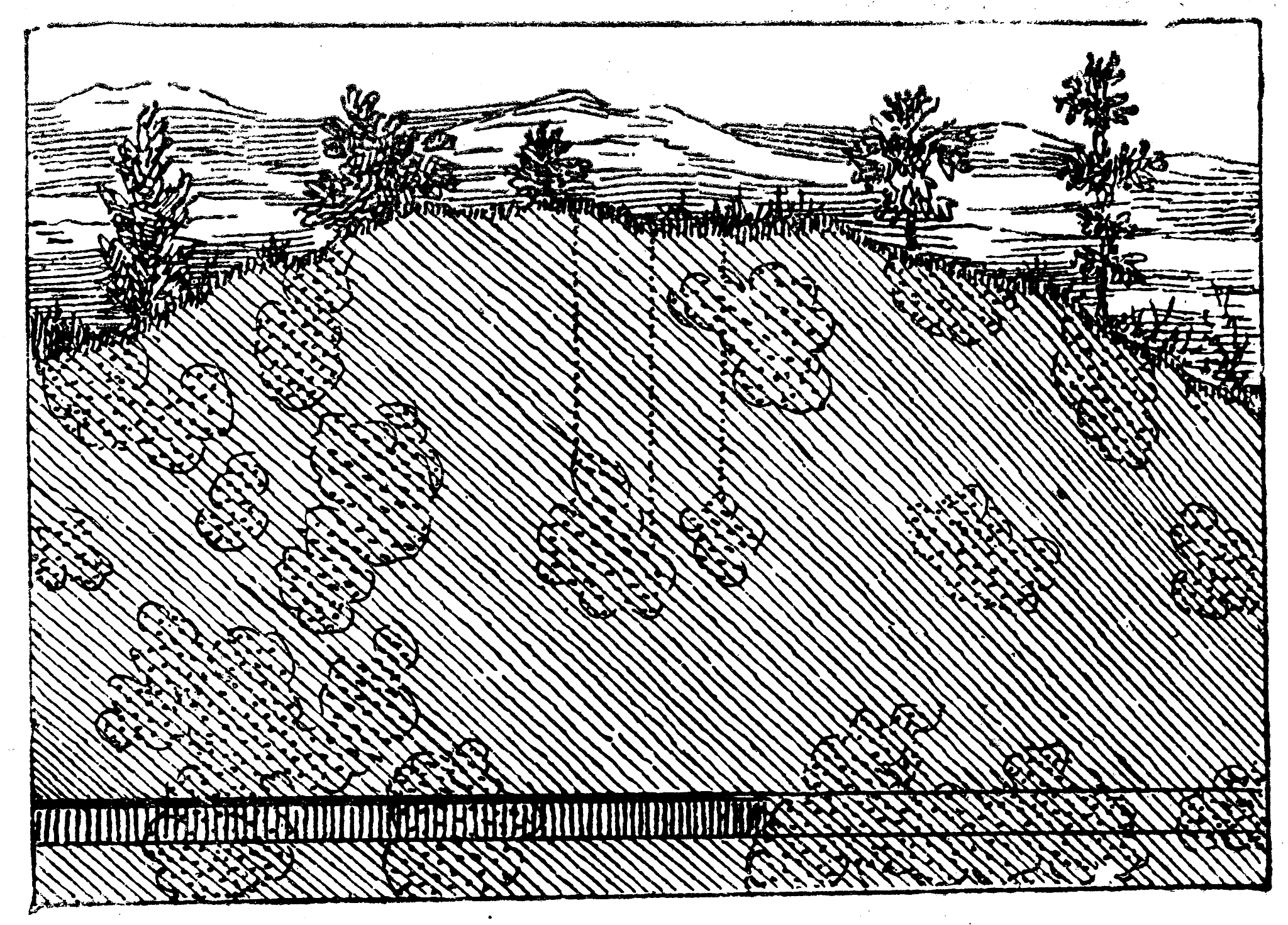 野外地质考察：从岩性分析到剖面图绘制