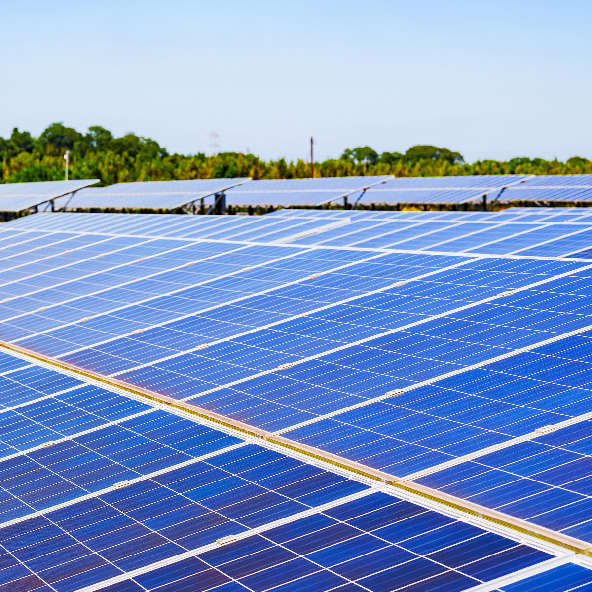 太阳能与沼气技术利用就业前景怎么样