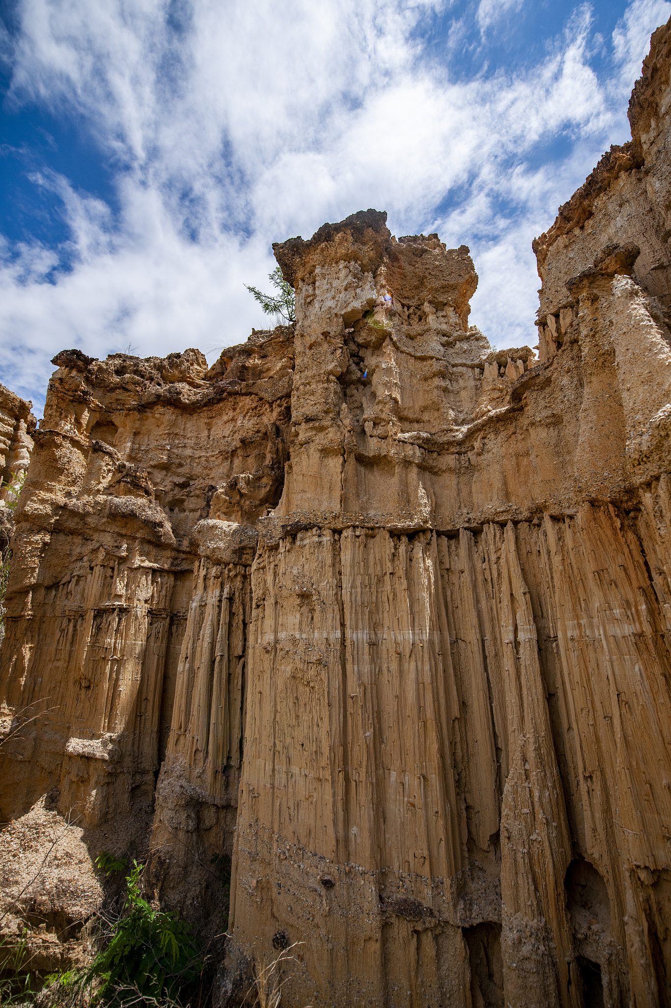 楚雄中专学校就业排名：哪所学校就业前景最好？