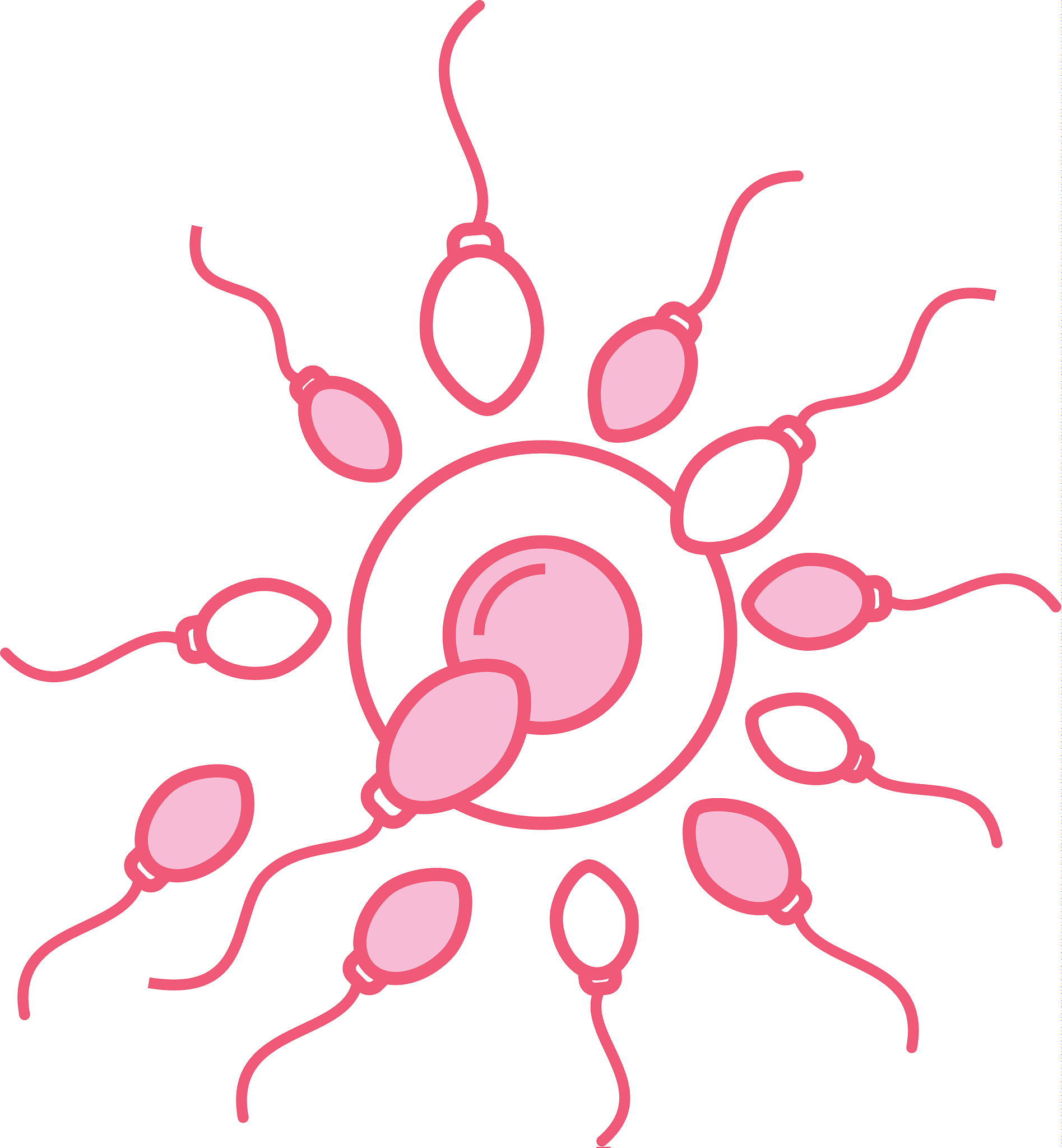 zygote是一个什么模块