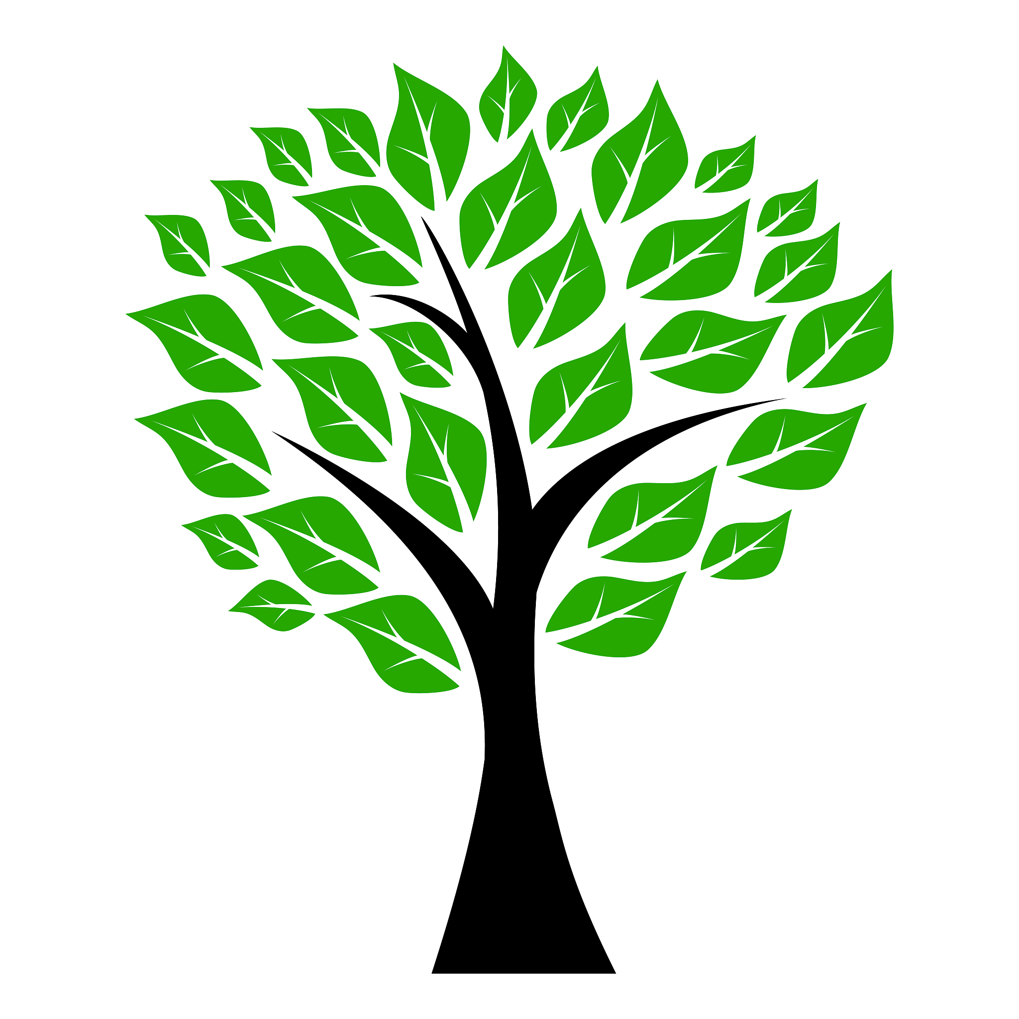 tree with leaves