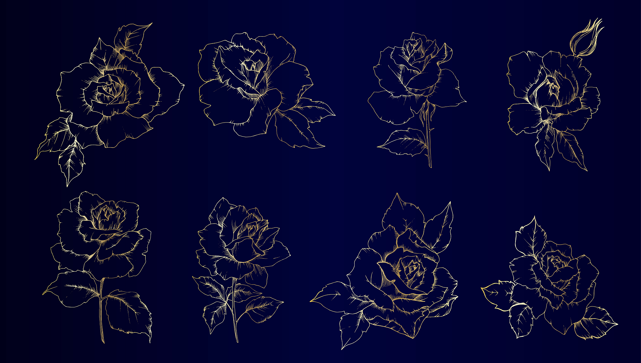 C++ 绘制玫瑰花动画: 详细代码解析