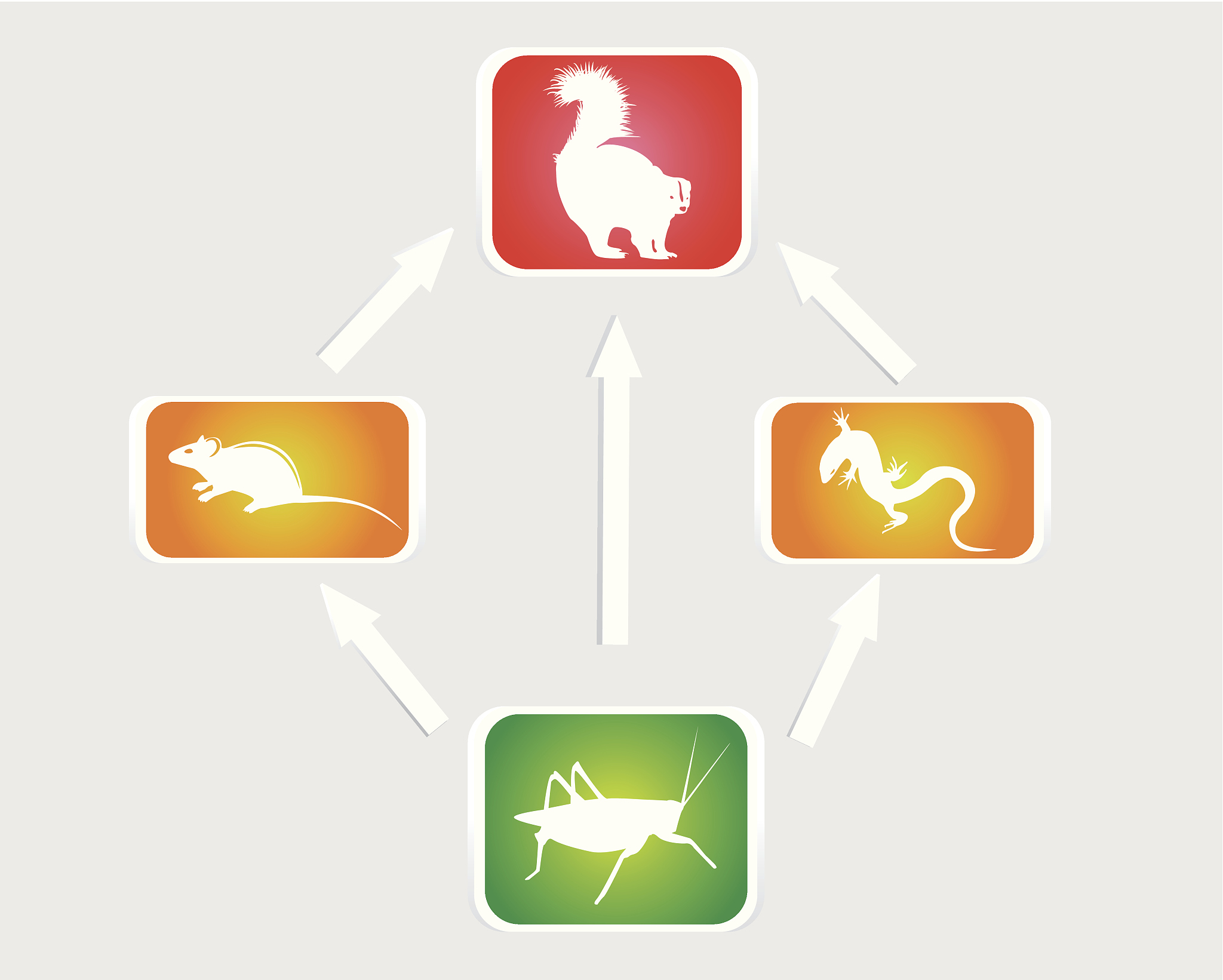生命科学项目式活动：探究生物食物链
