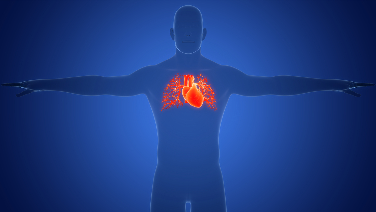 人死了会怎么样