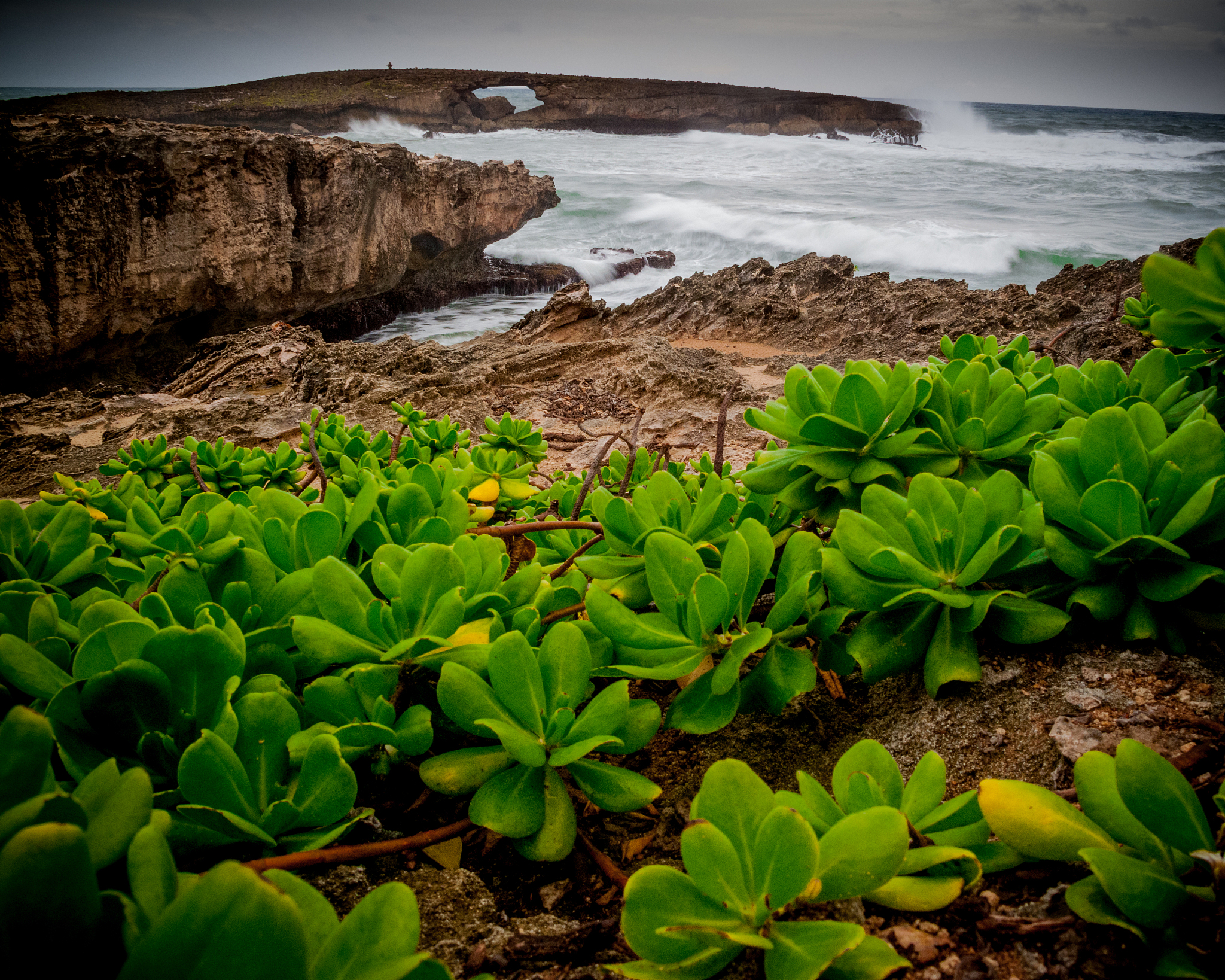 9453 数字含义：久久不变，生生不死 - 中国传统文化解读