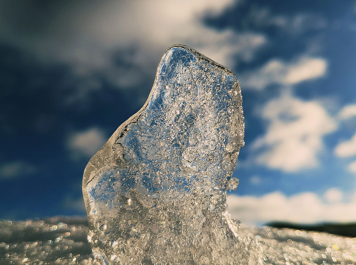 那么硅基生命可能具有哪些特征？