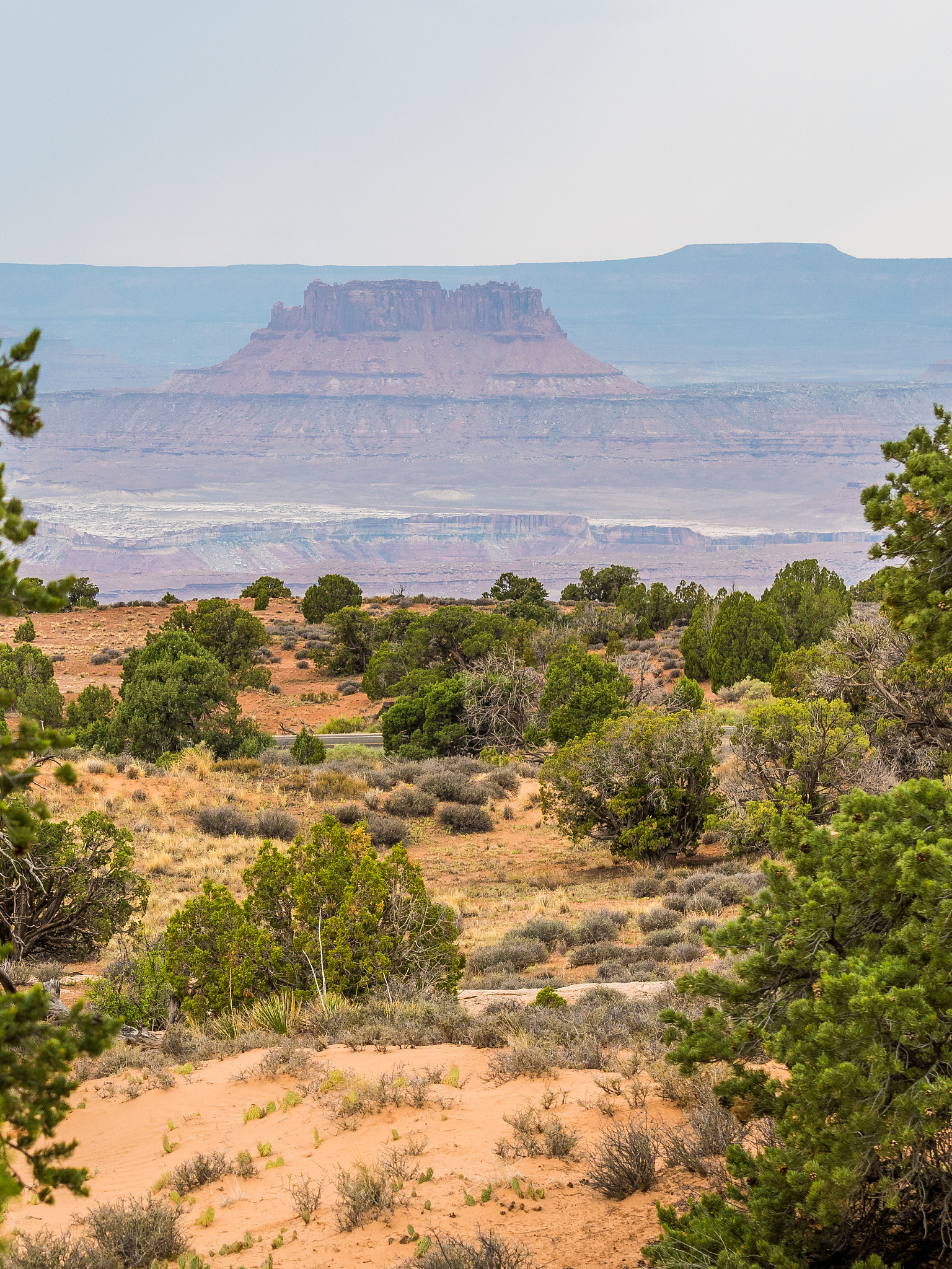 landscape of canyonlands national park