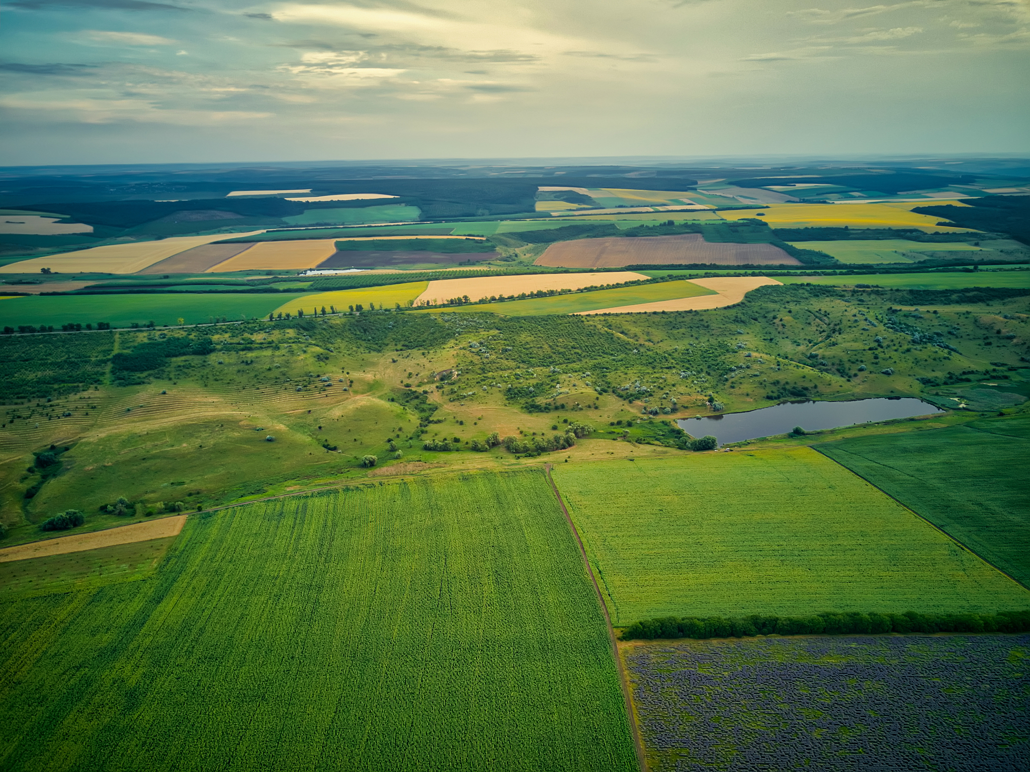 aerial view of a landscape