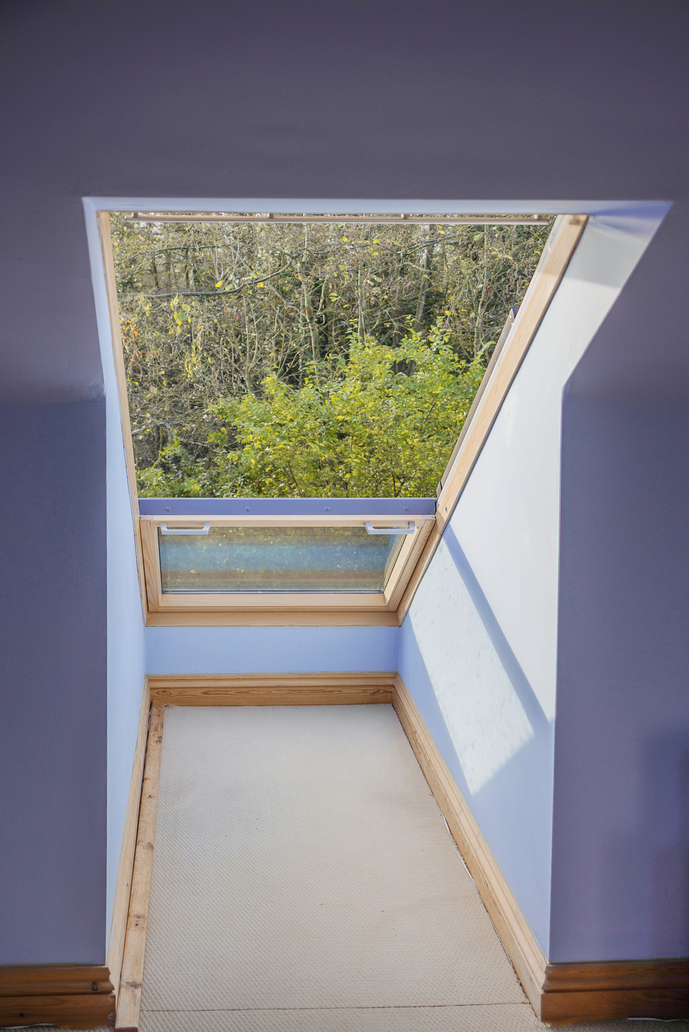 window