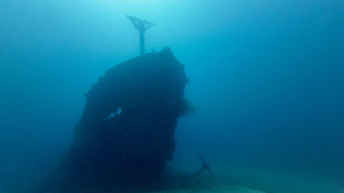 Towfish 深度：探秘水下世界的利器