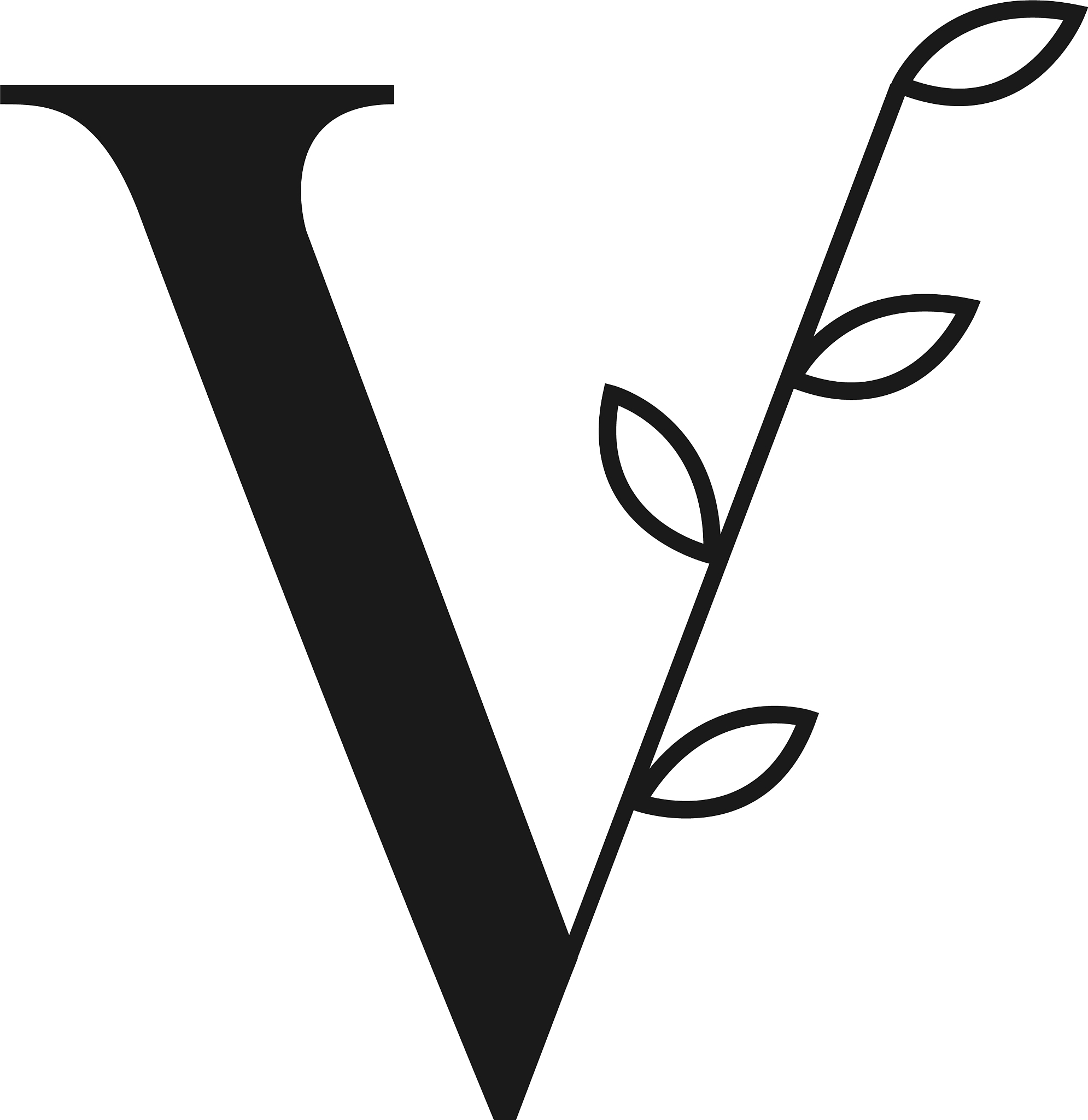 letter v simple logo symbol icon