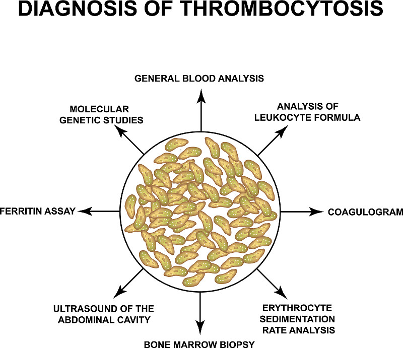 summarise characteristics about paramecia for my G7 students