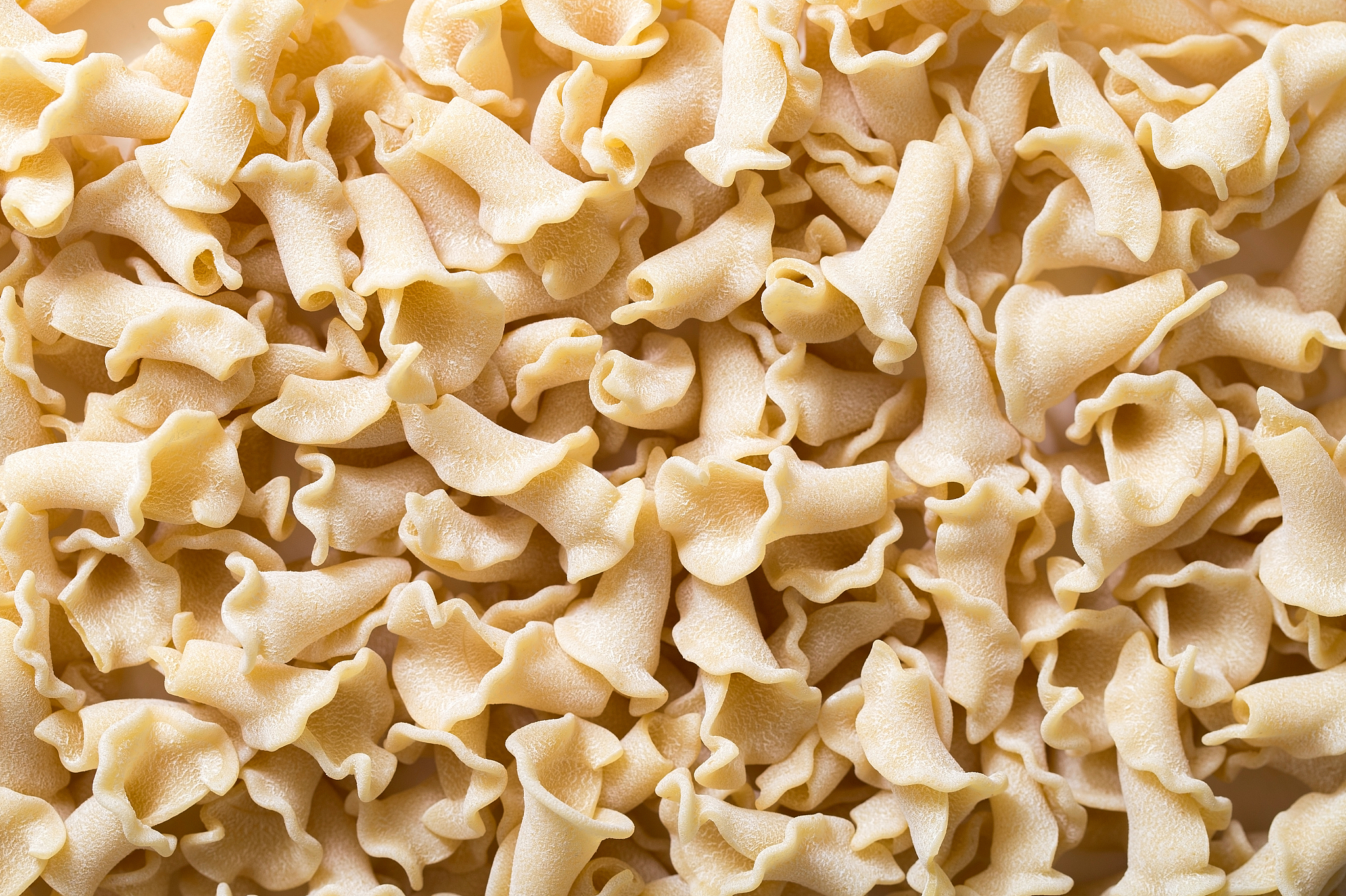 揭阳市卫生学校中药专业简介