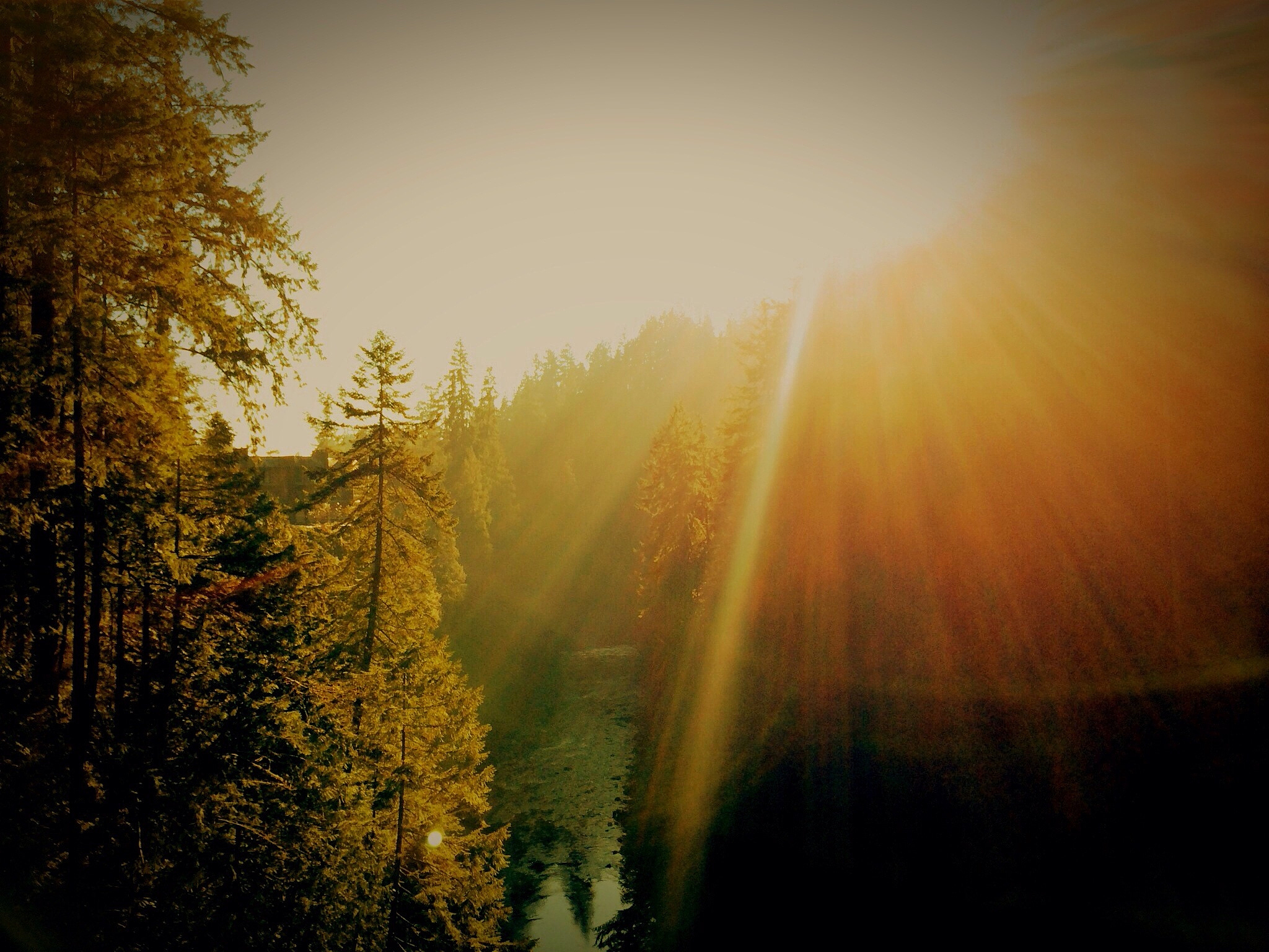 阳光的两种用法：自然资源与心理资源