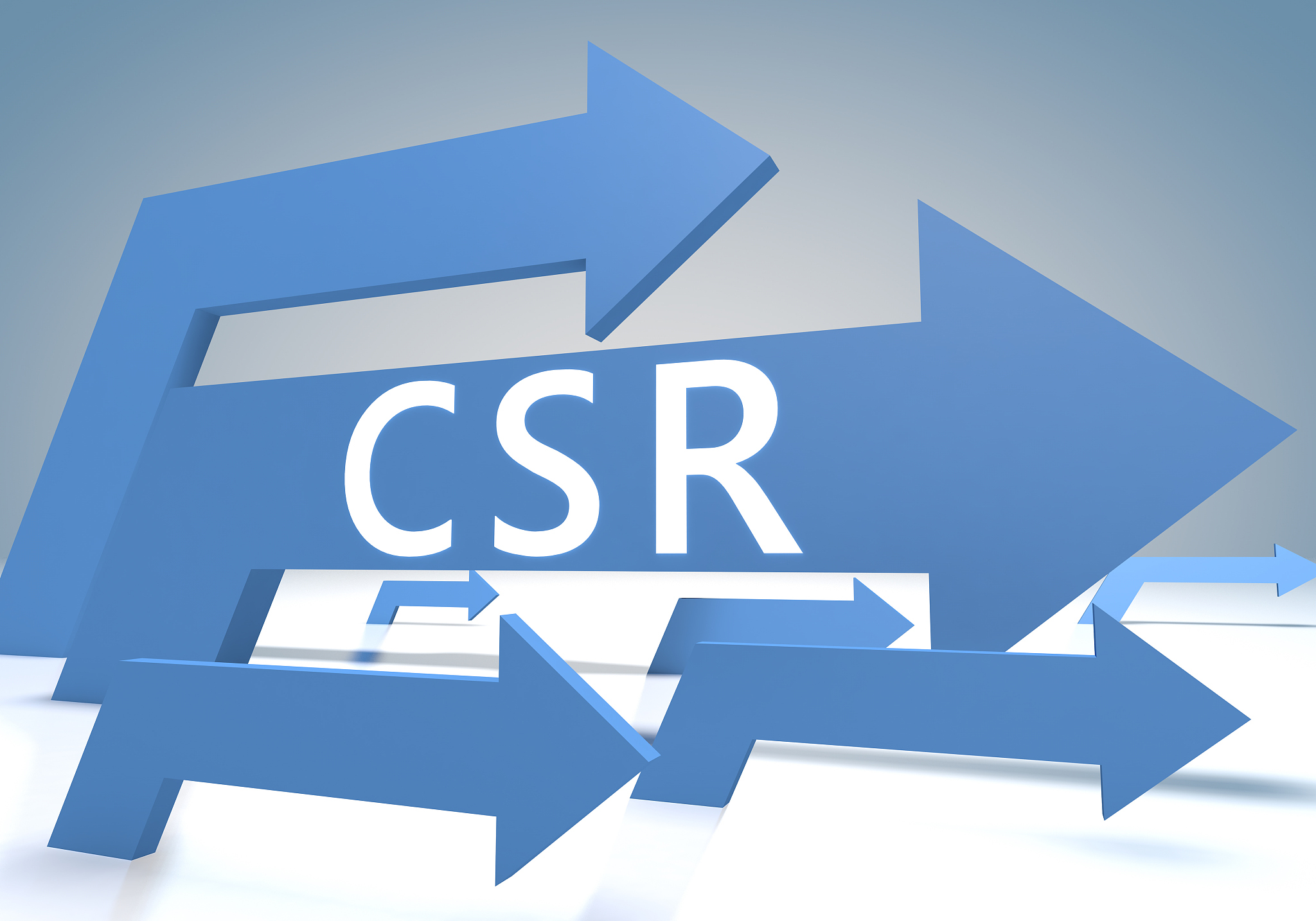 corporate social responsibility