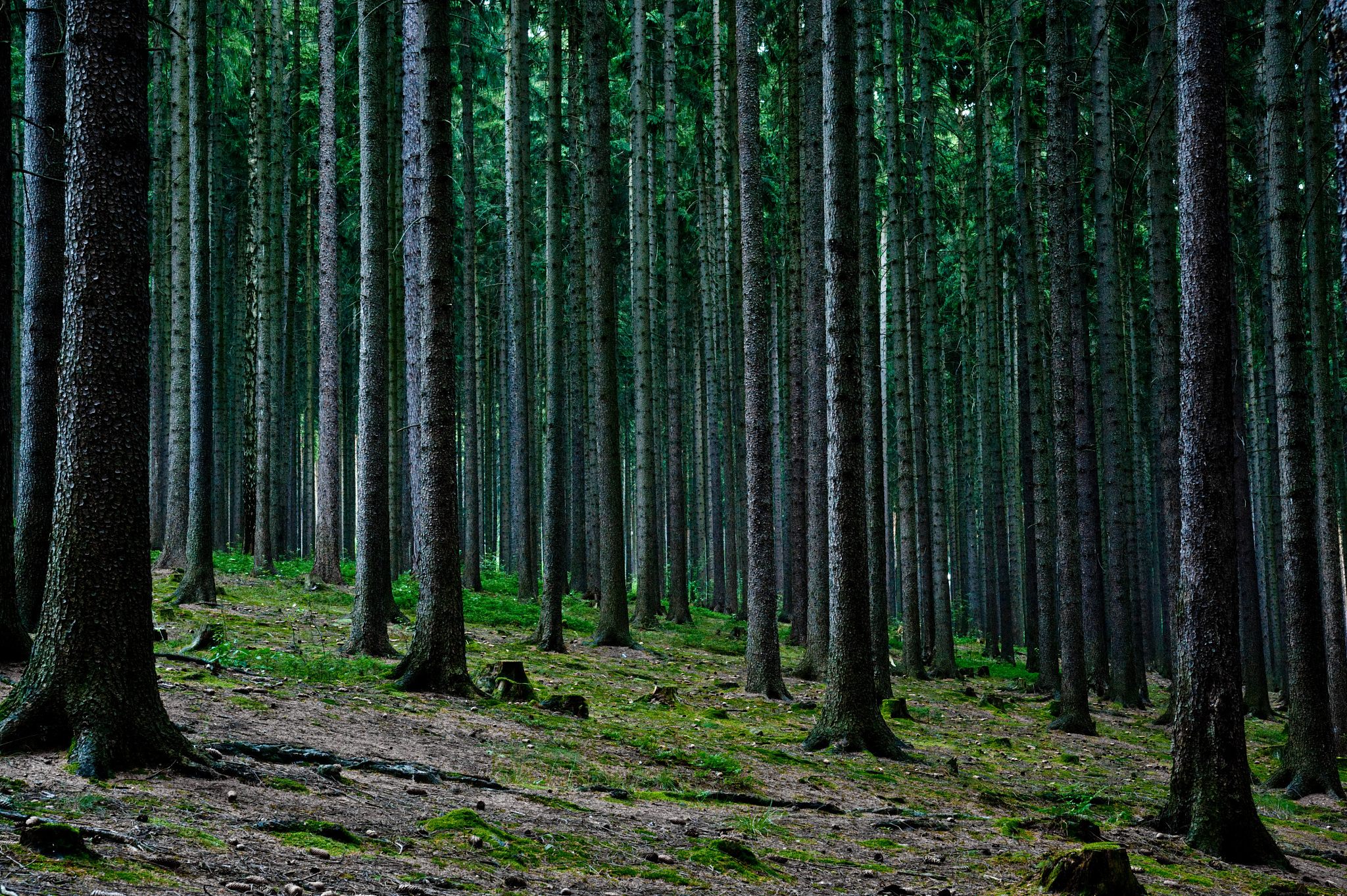 Kotlin 函数定义及调用详解 - 从入门到精通