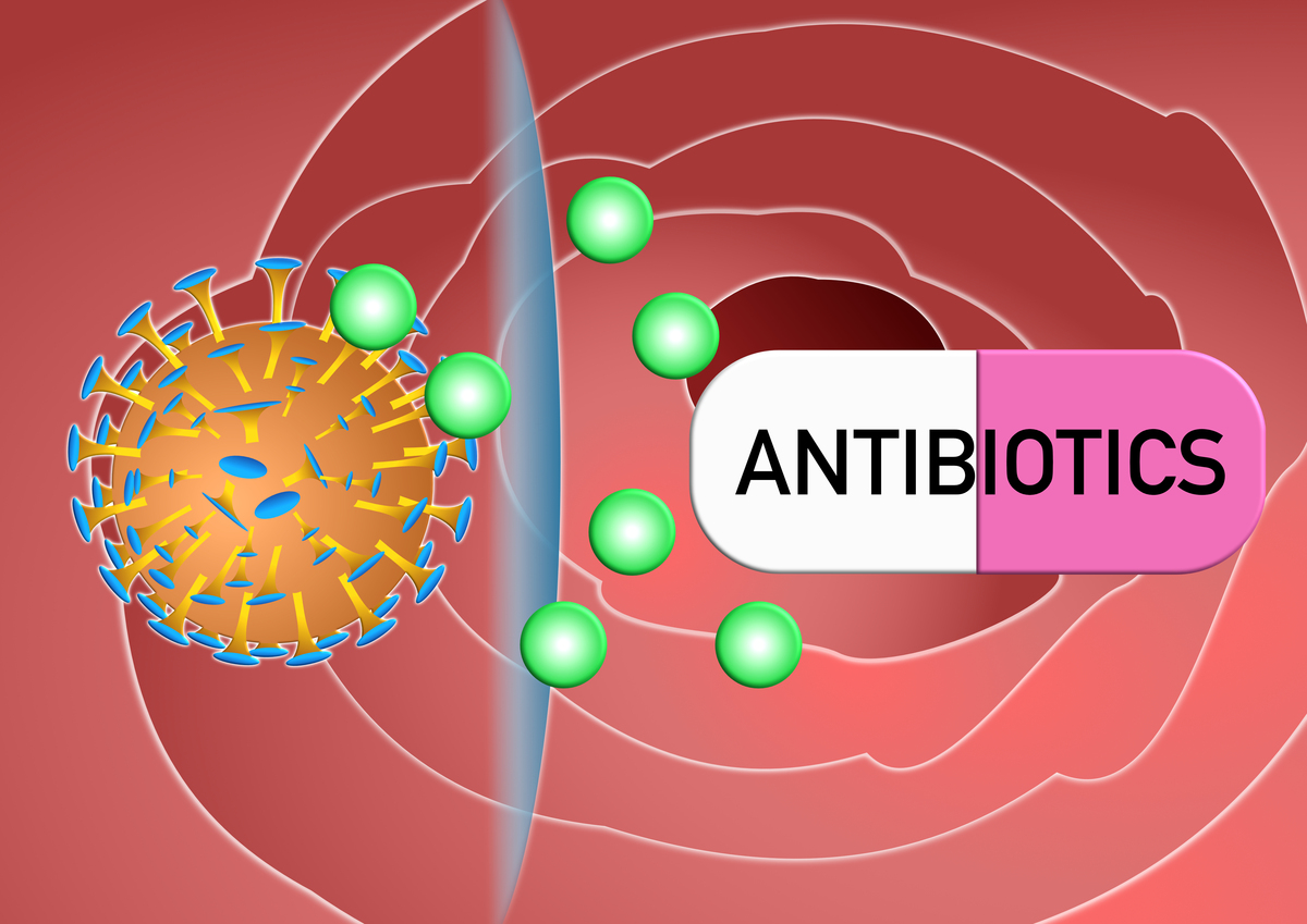 开展GaN基的纳米材料的非线性光学吸收性质的研究对光电器件的设计有着重要的意义请用英语改写这一段话。