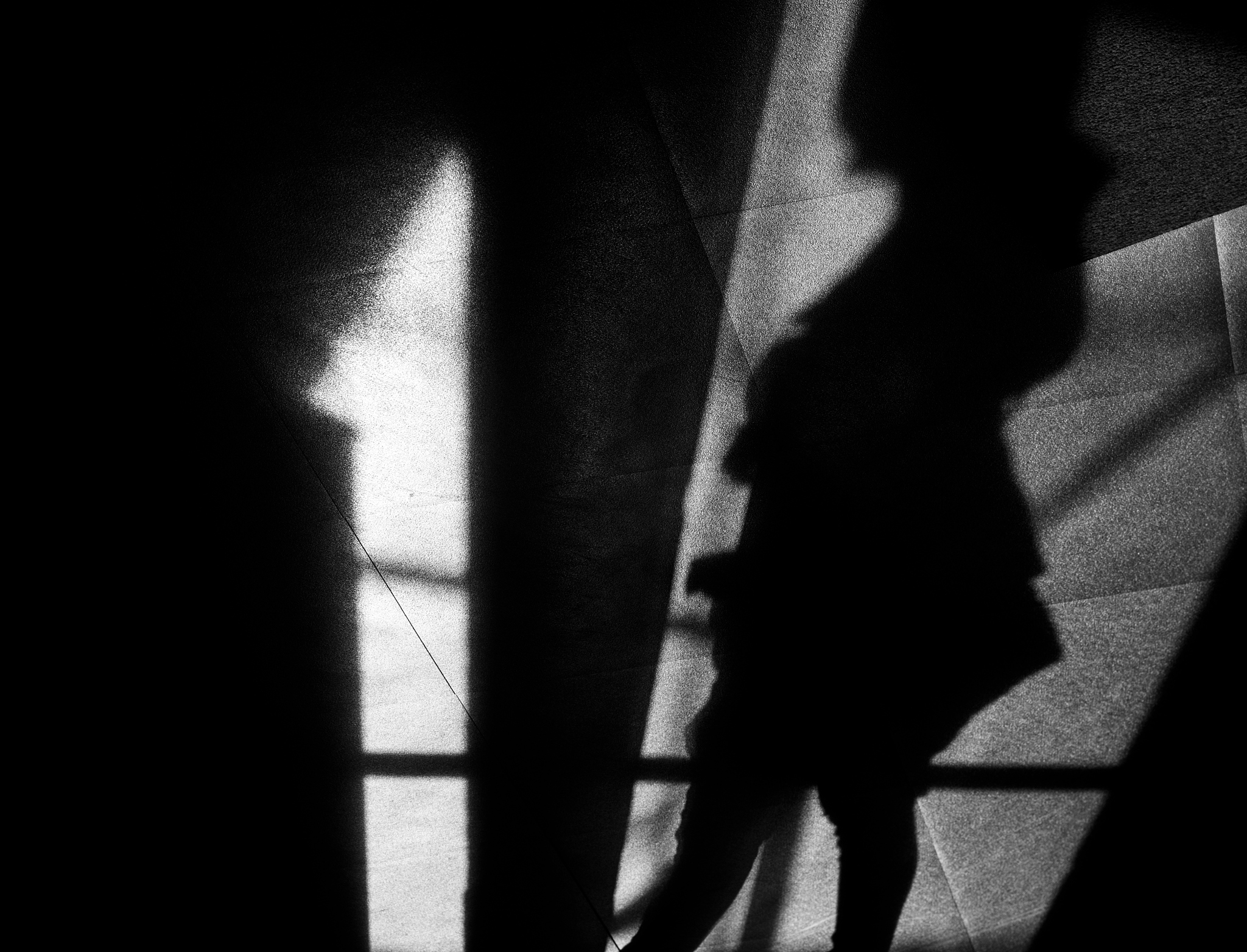 黑白摄影的魅力：用光影诠释情感