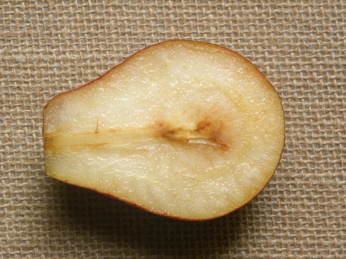 梨价格上涨原因分析：2022年梨价会继续上涨吗？