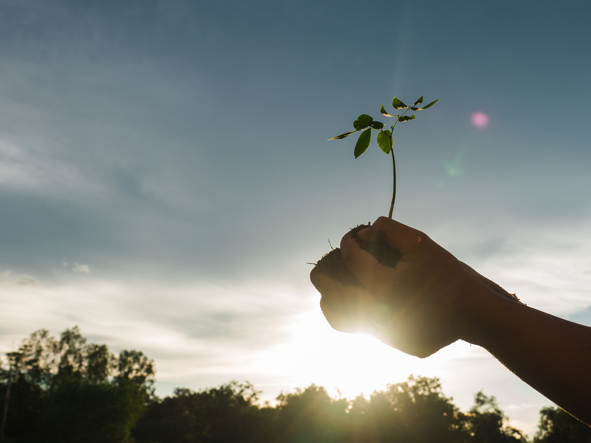 还活着我不太明白你的问题是什么但如果你的意思是你还活着那太好了！珍惜生命好好生活。ok
