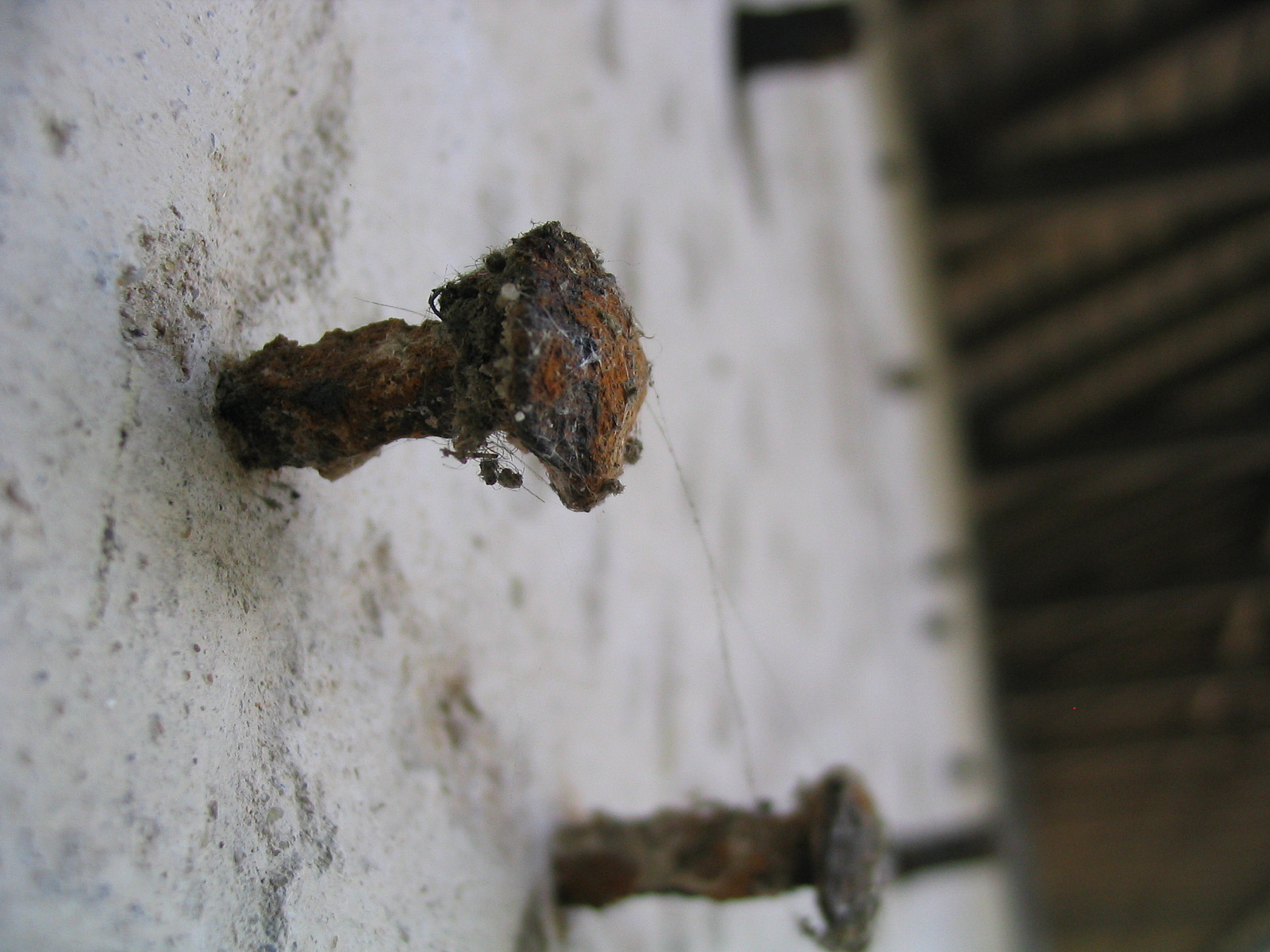 rusty nail