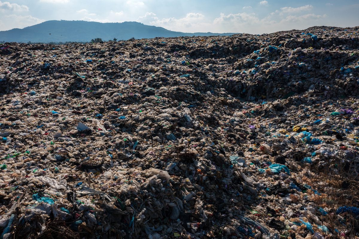 我国仅用30多年时间就实现了西方100年左右的城镇化和工业化的数量增长可谓成绩斐然。然而发达国家在不同发展阶段出现的城市生态问题在我国也是短期内集中爆发。你认为我国当前的主要城市生态问题有哪些？针对存在的问题你有哪些好的建议？2000字