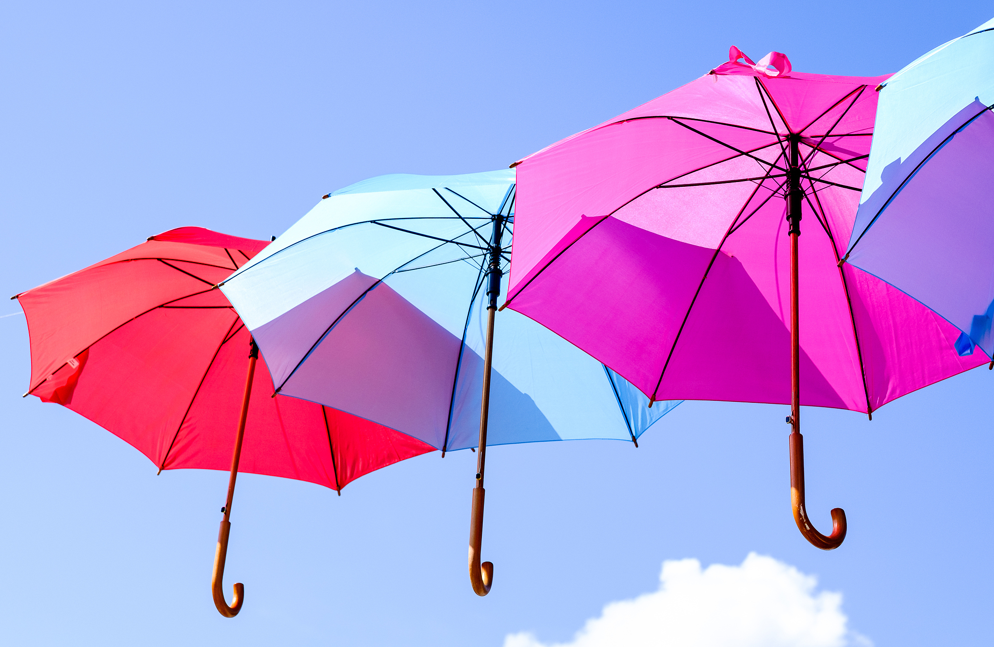 flying umbrellas