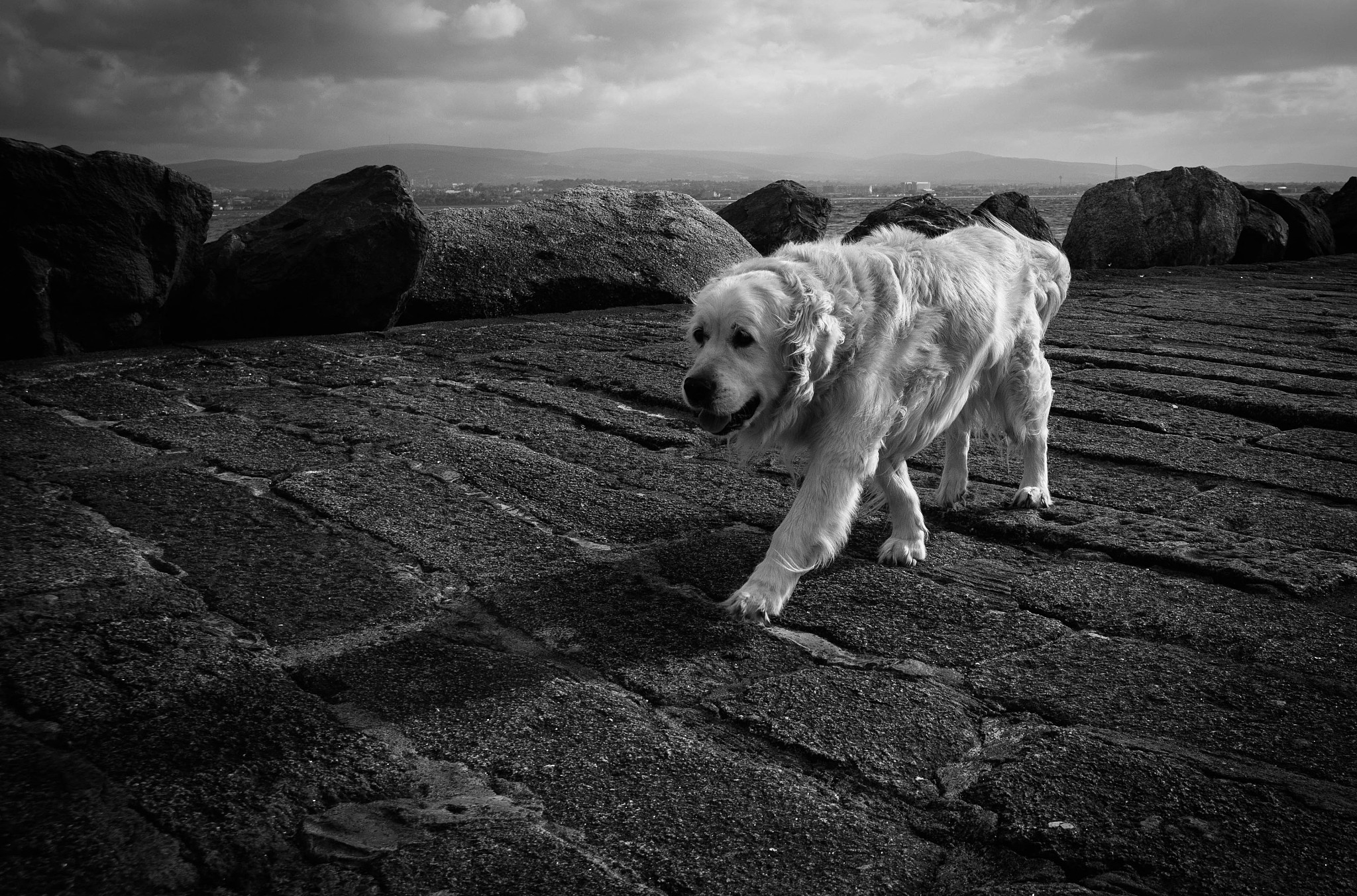 Golang Getmntent: Accessing Mount Entries using syscall Package