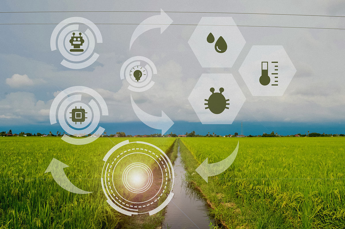 子洲县富发农业科技有限公司黄芪产品市场营销策略优化研究：国外特色农产品营销体系综述