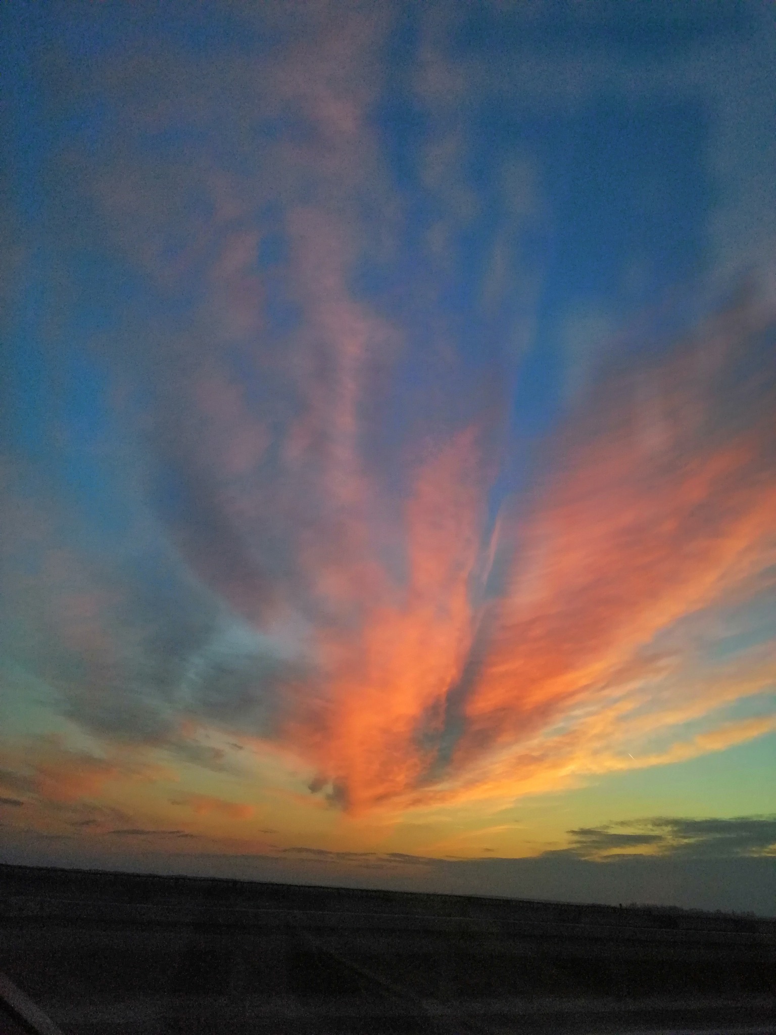 名字为天气的作文