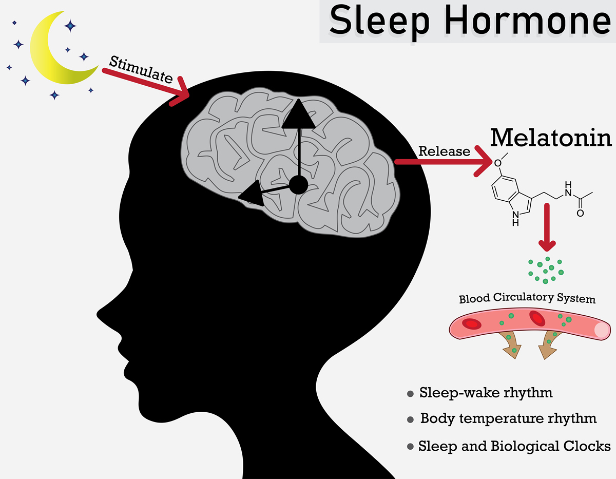 Debunking the 10% Brain Myth: Unlocking the Power of Your Mind