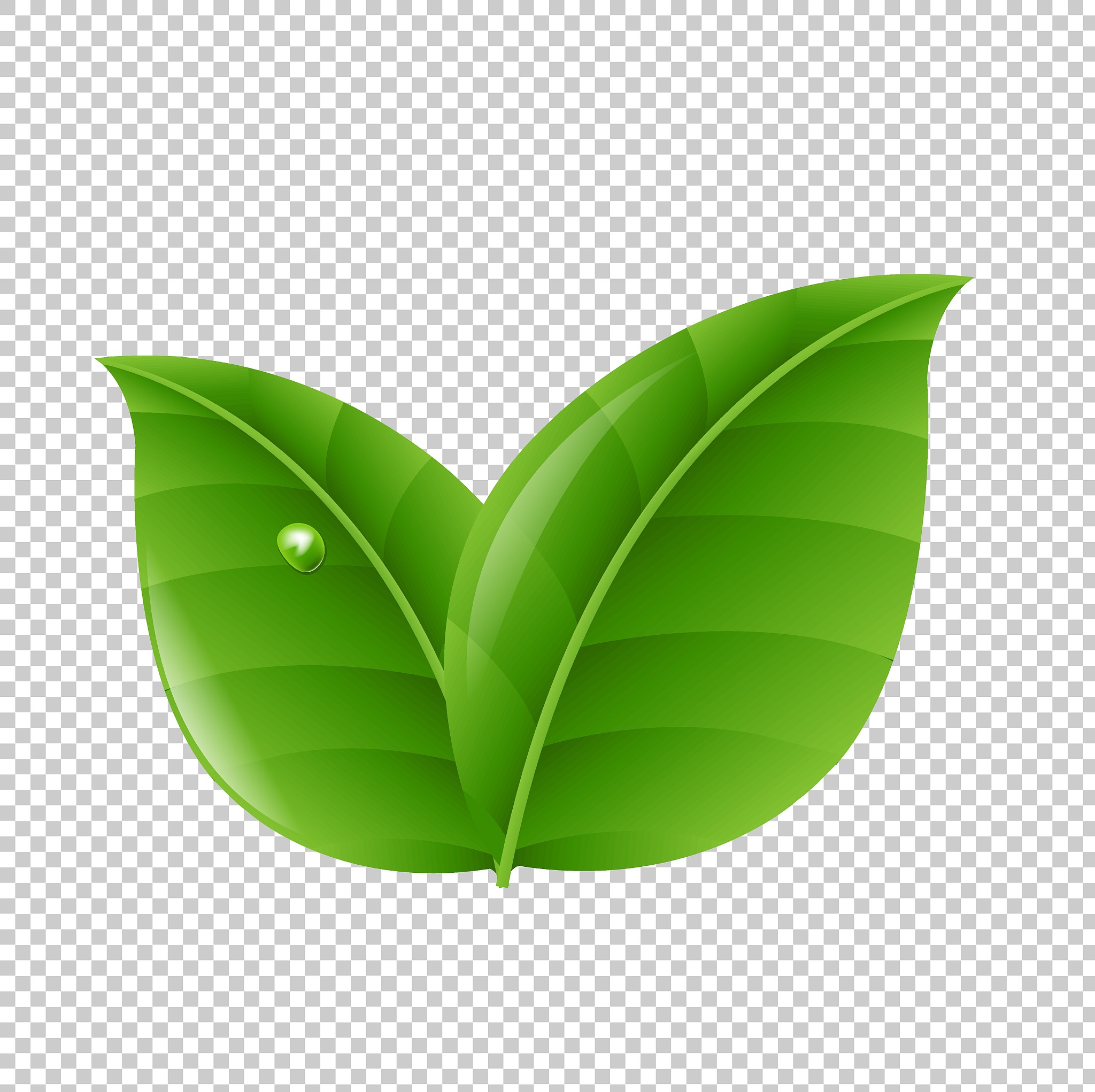 green leaves