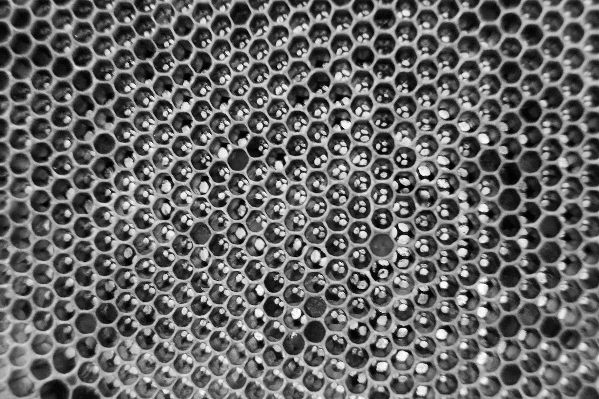 钨丝增强镍基复合材料的界面问题