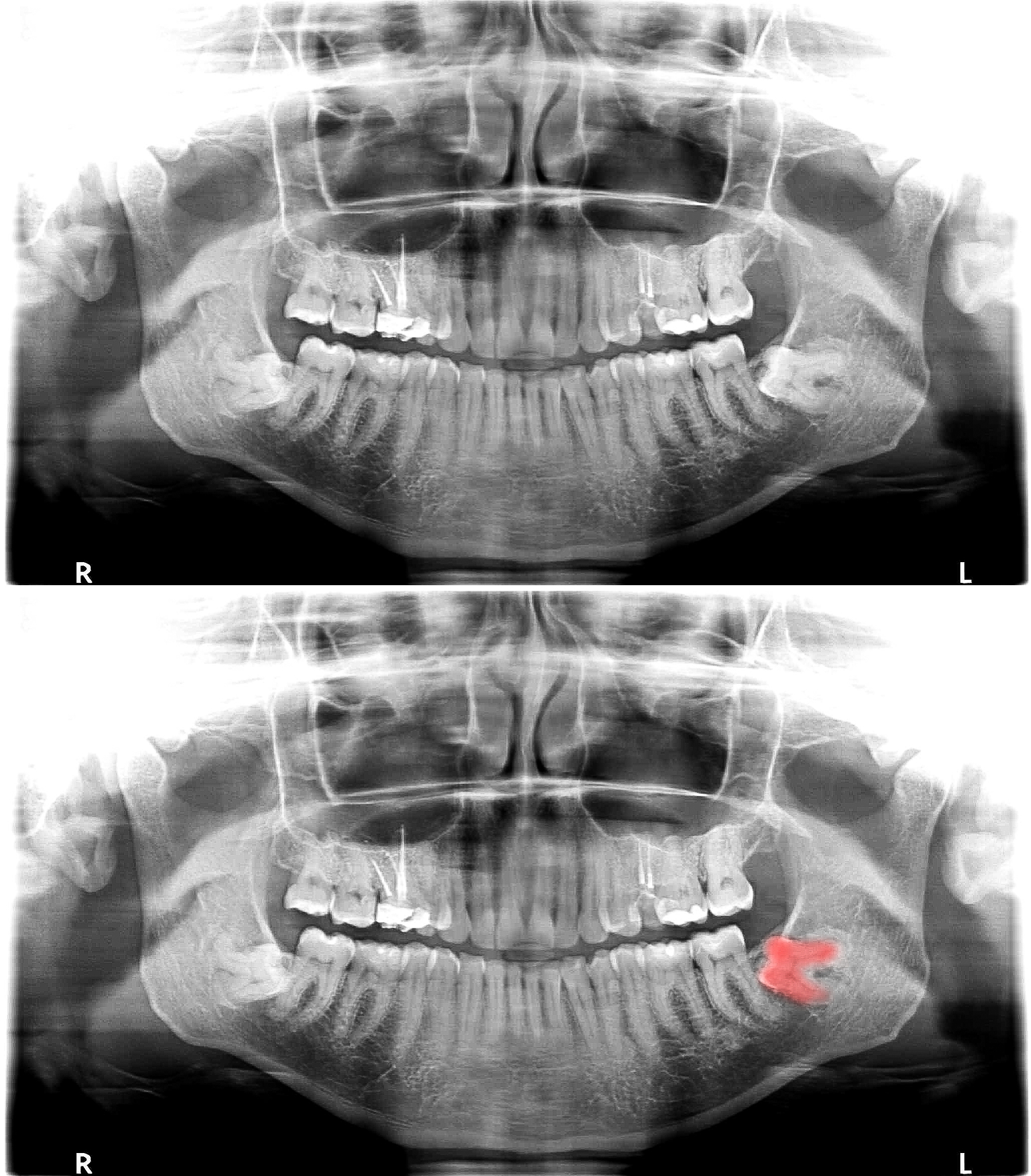 大理医学院简介 - 云南省唯一自治区属本科医学院校