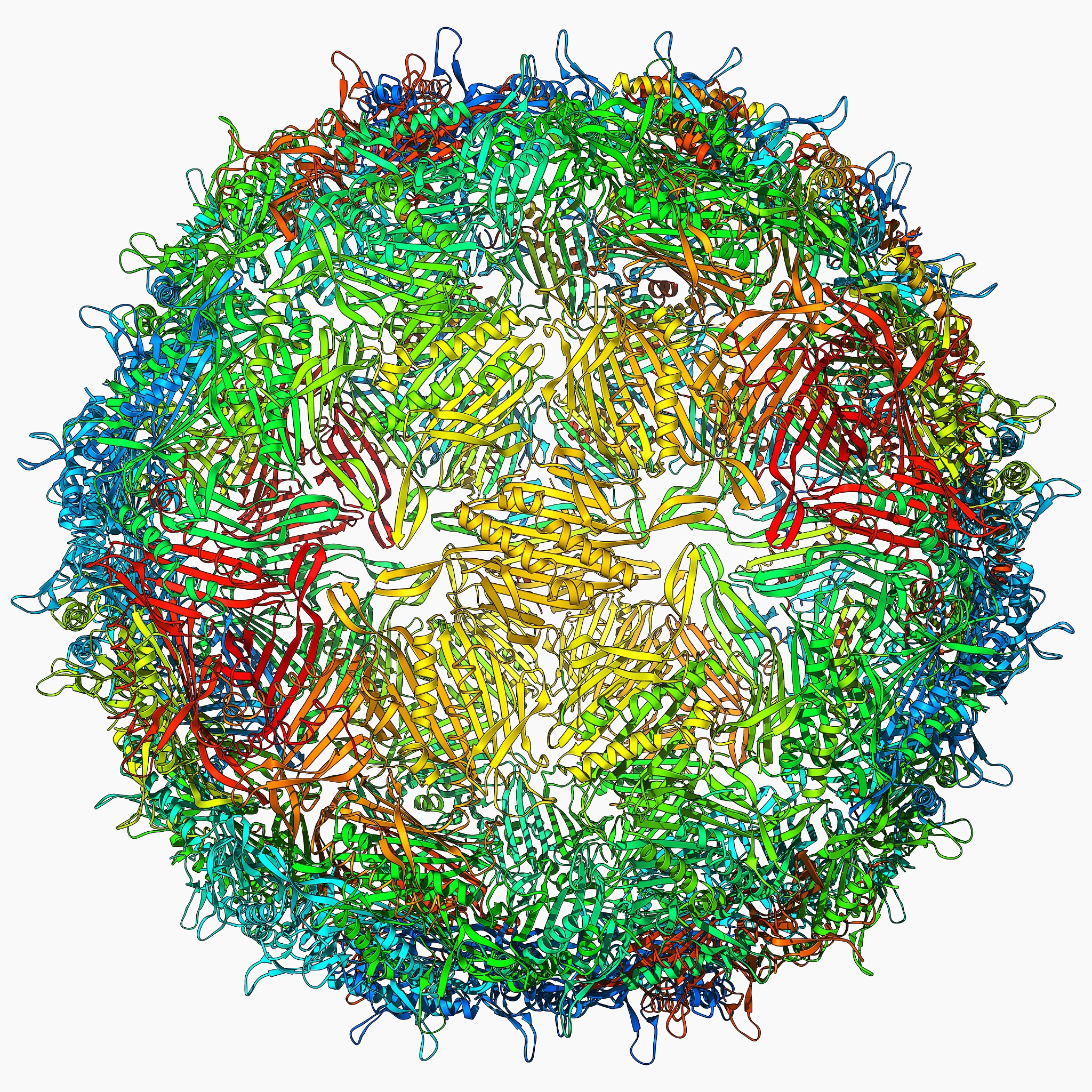 噬菌体受体结合蛋白库：资源和链接