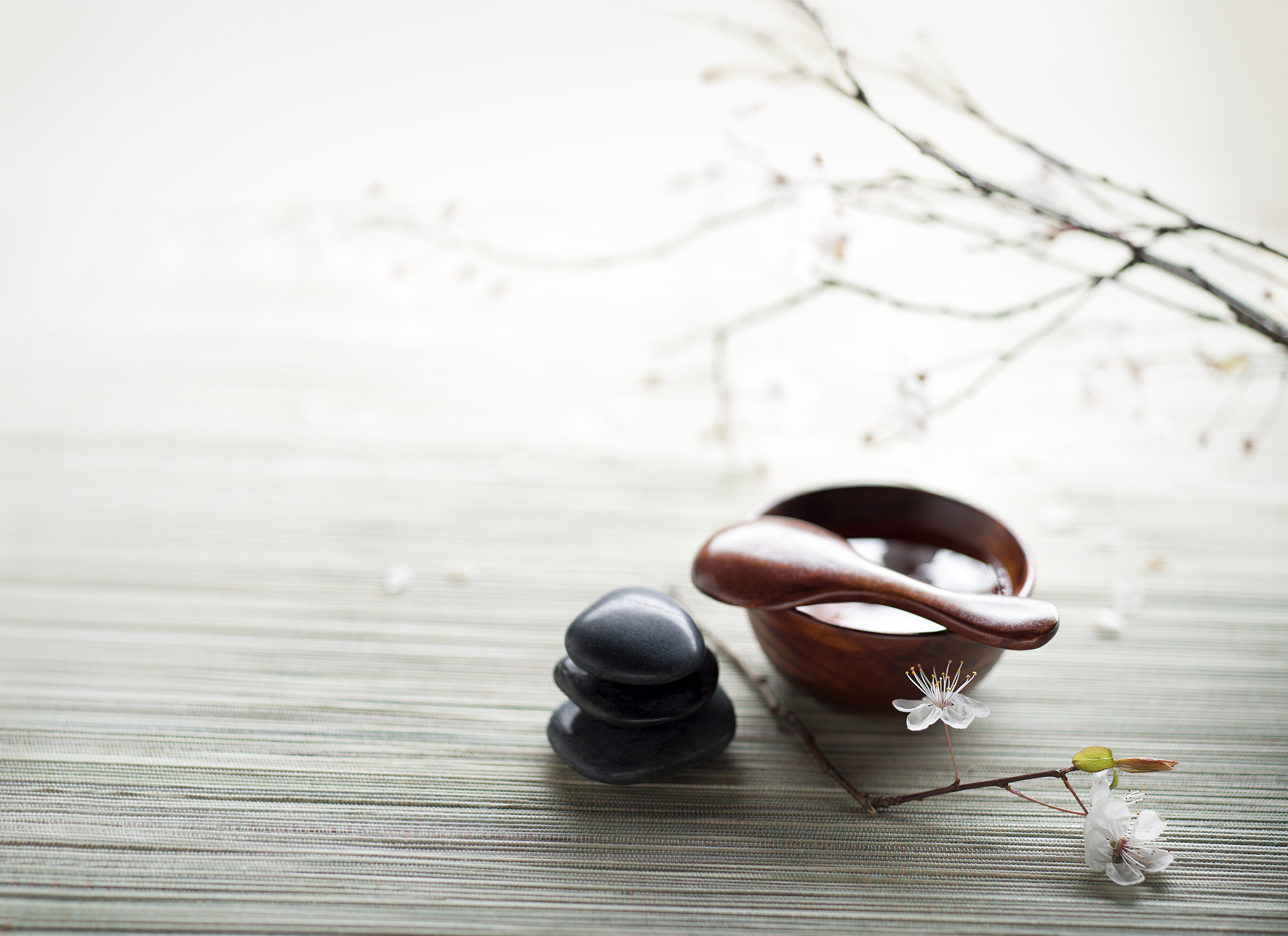 zen spa still life