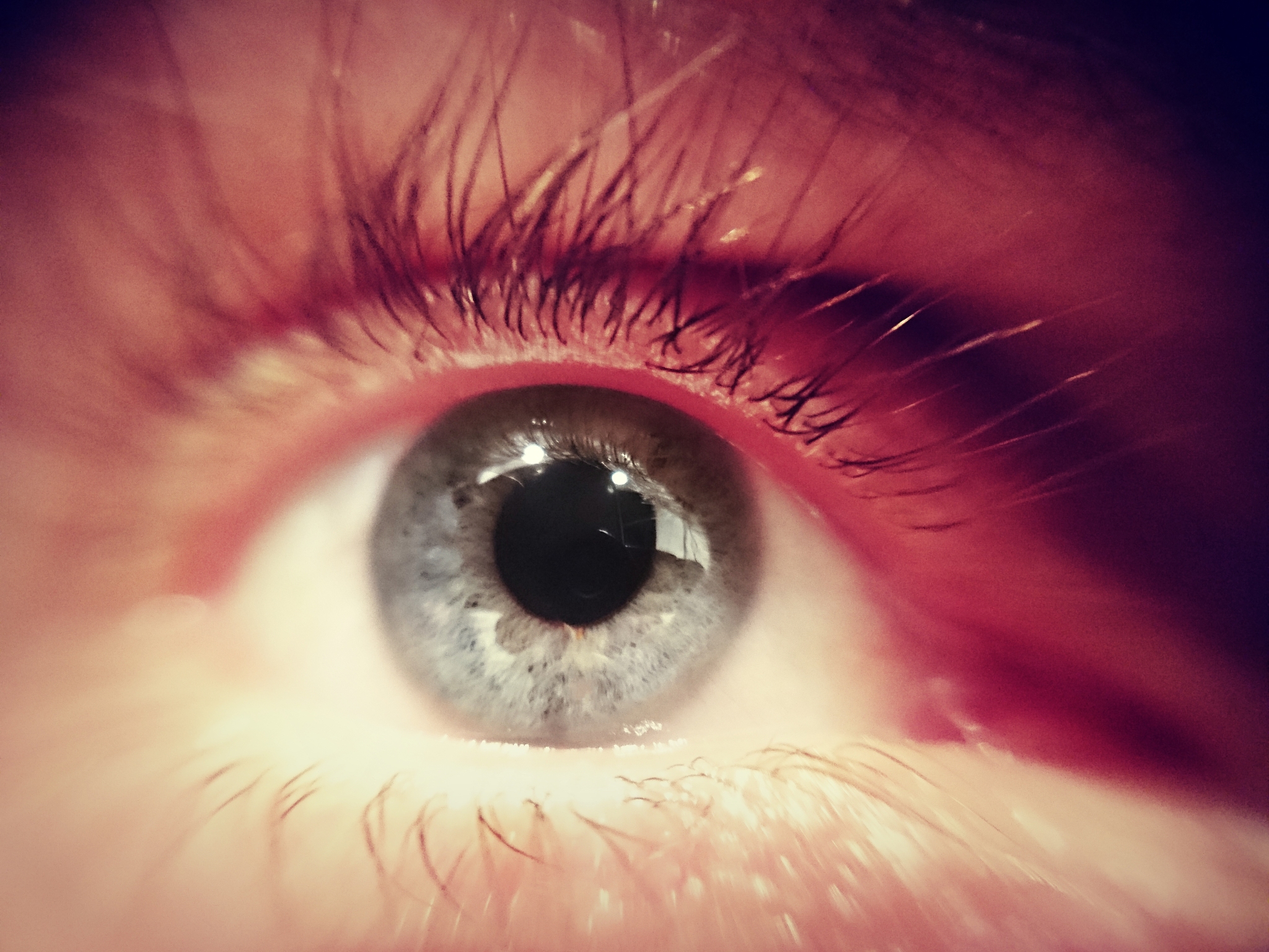 extreme close-up of human eye