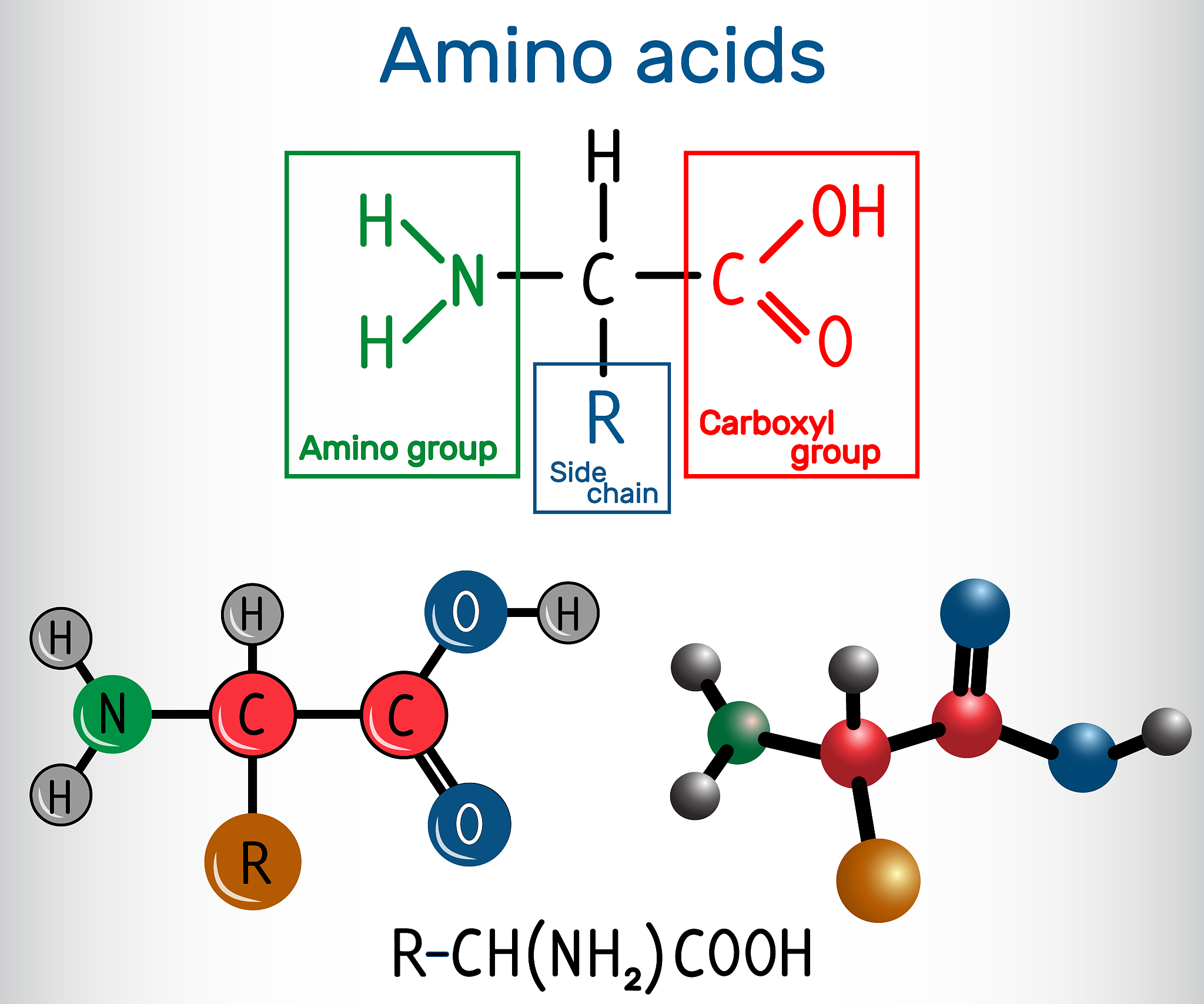 示例： 产生多个构象并写入PDB文件中示例代码：from rdkit import Chemfrom rdkitChem import AllChemsmi=CCCC1CCCCCCCC1m2=ChemMolFromSmilessmim2AllChemEmbedMultipleConfsm2 numConfs=20writer = ChemPDBWriter1pdbwriterwritem2writ
