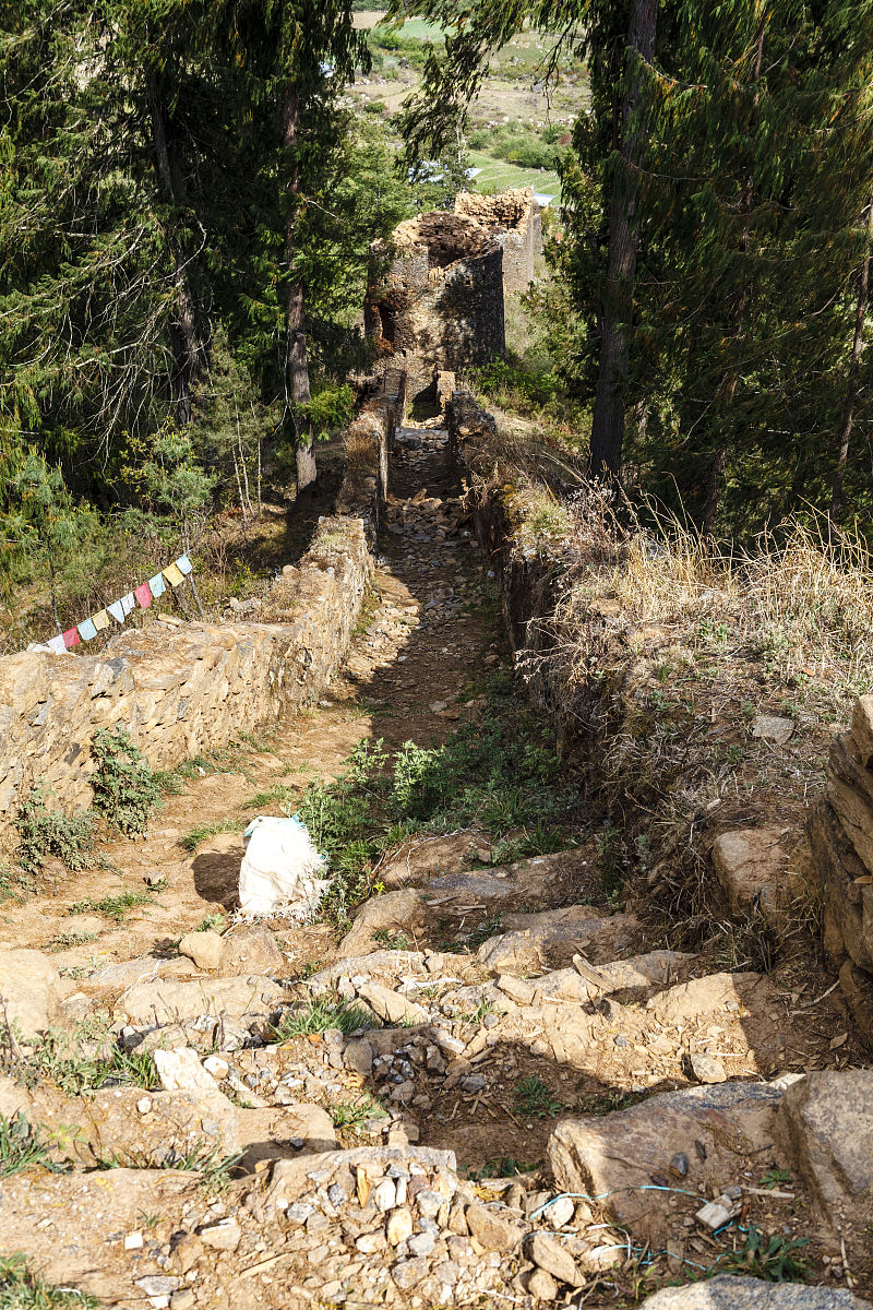 不丹主流的O2O平台有哪些？ 这些平台的市场占有率如何？