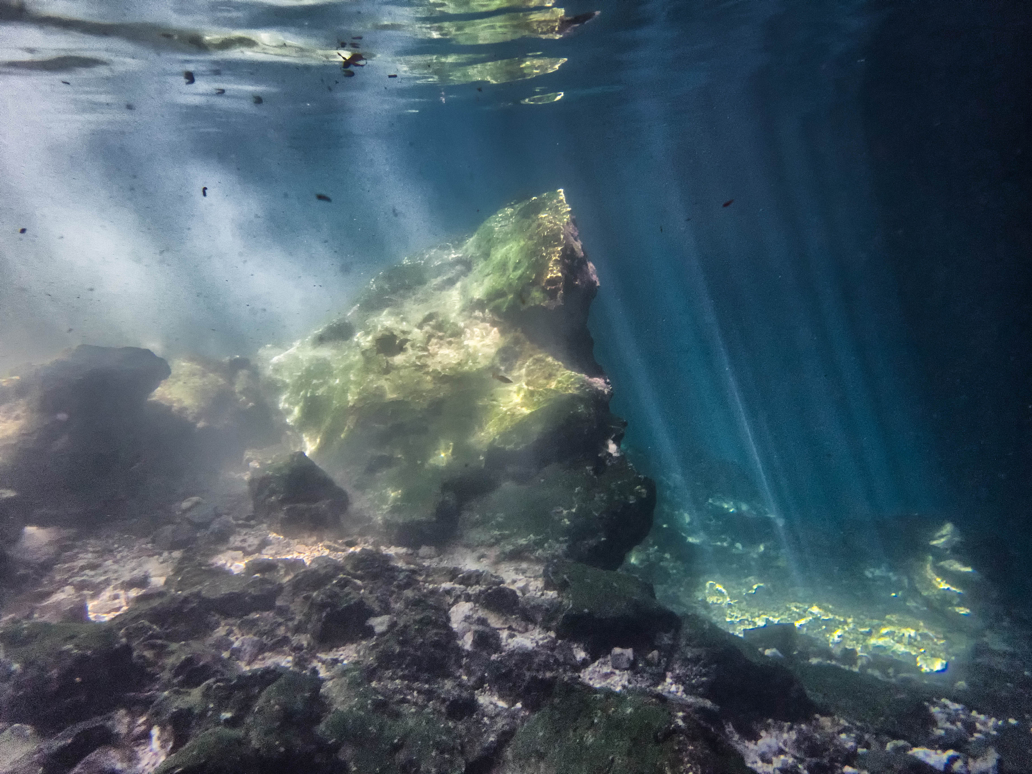 snorkeling in a cenote.